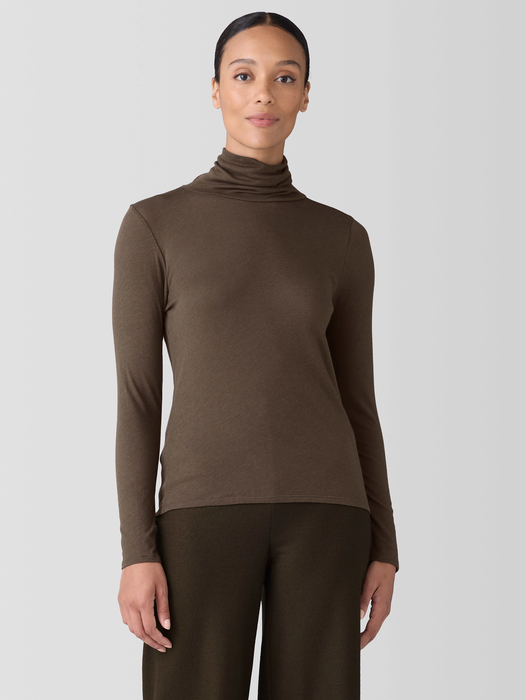 Sheer Knit Turtleneck Top