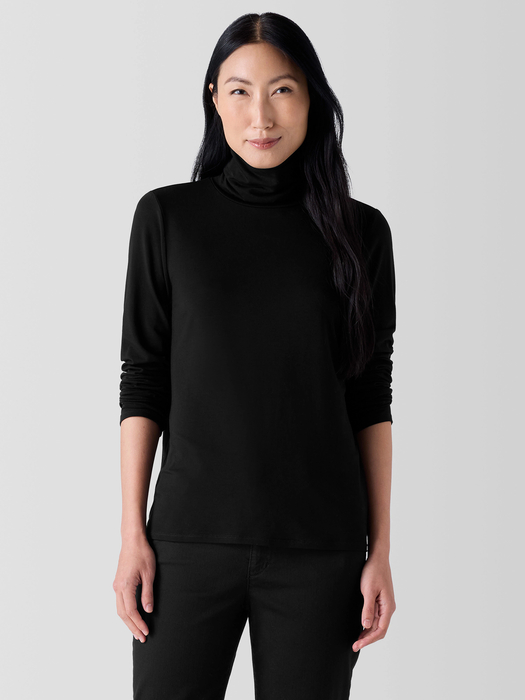 Sheer Knit Turtleneck Top