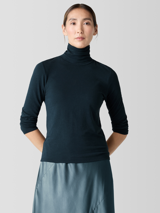 Sheer Knit Turtleneck Top