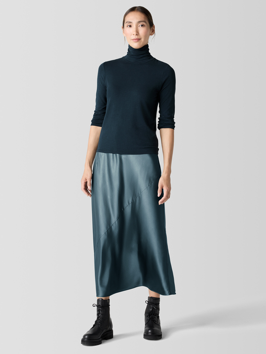 Sheer Knit Turtleneck Top