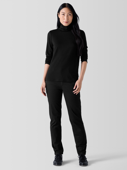 Sheer Knit Turtleneck Top