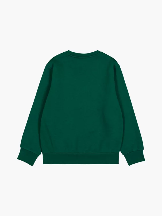 Champion Sweatshirt in grün
