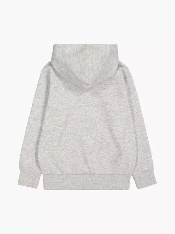 Champion Hoodie in grau
