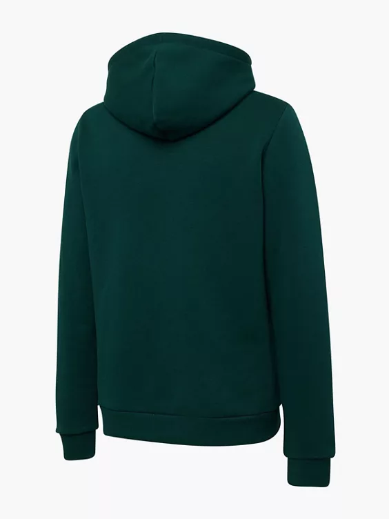 Reebok Hoodie in grün