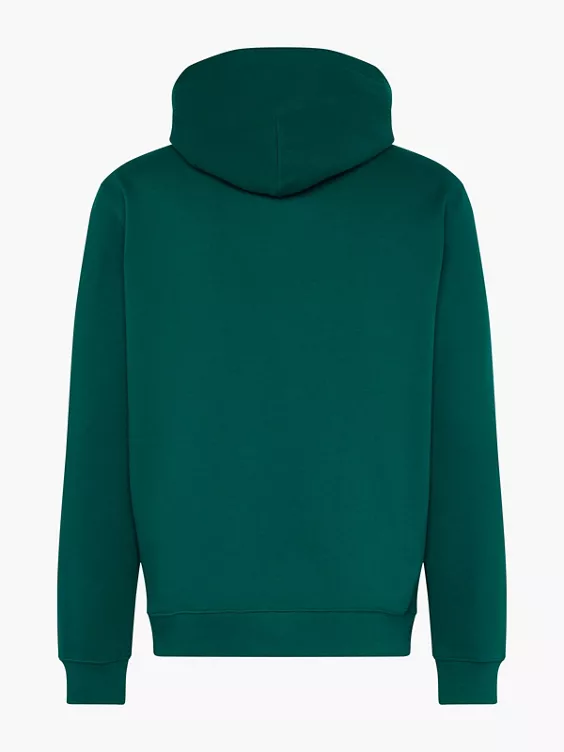Champion Hoodie in grün