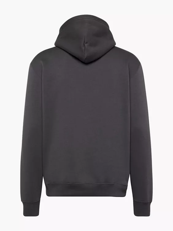 Champion Hoodie in grau
