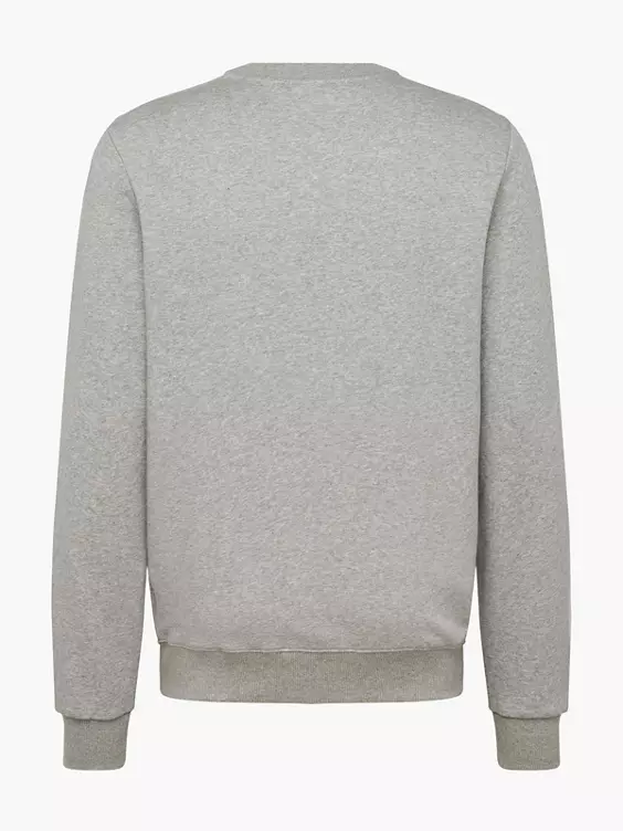 Reebok Sweatshirt in grau