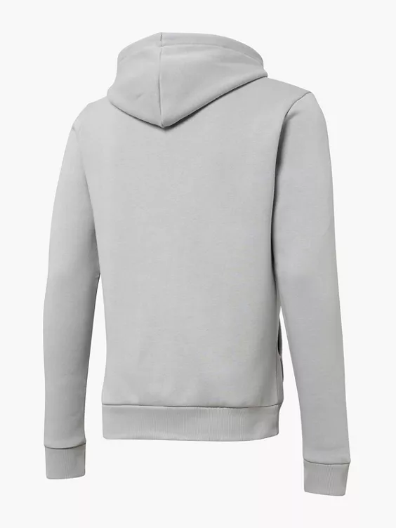 Reebok Kapuzenjacke in grau