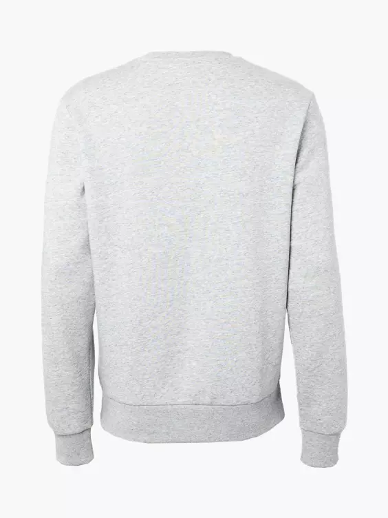 Champion Sweatshirt in grau