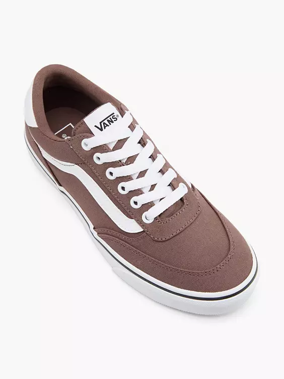 VANS Sneaker BROOKLYN LS in taupe
