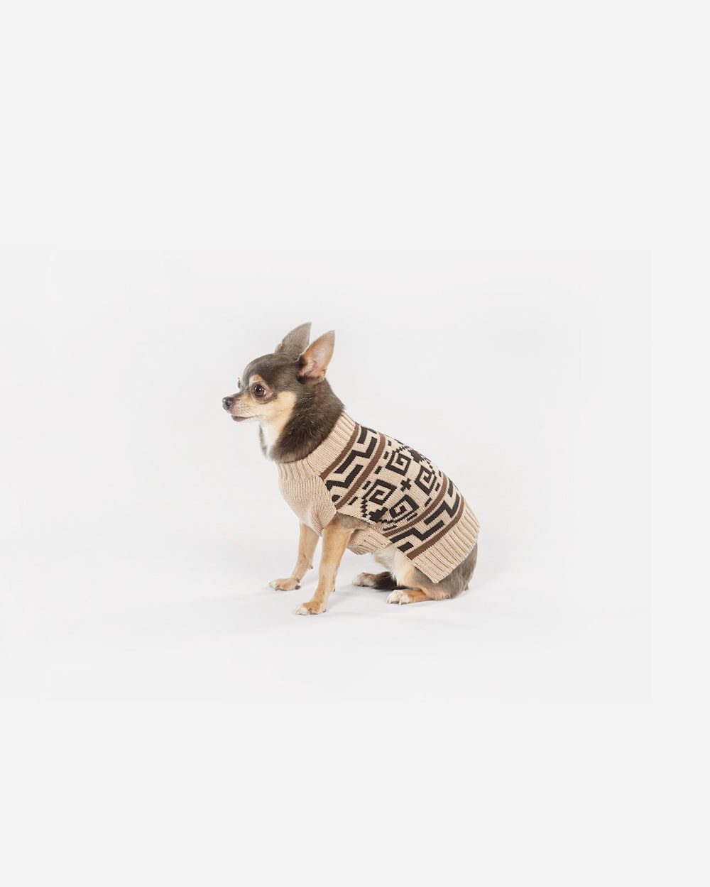 WESTERLEY DOG SWEATER