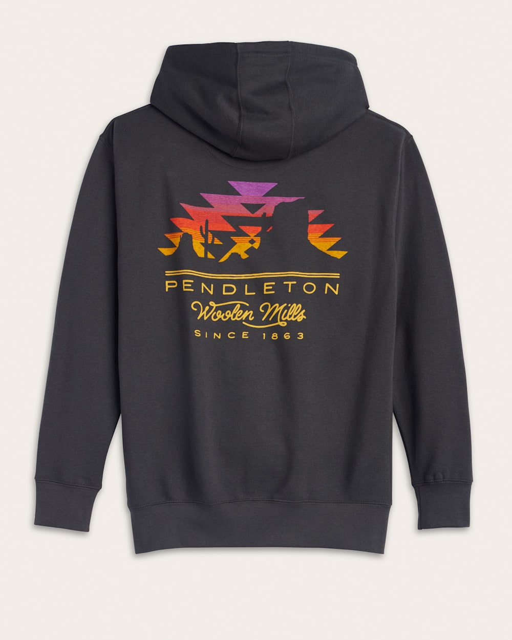 MEN'S DESERT SUN GRAPHIC HOODIE