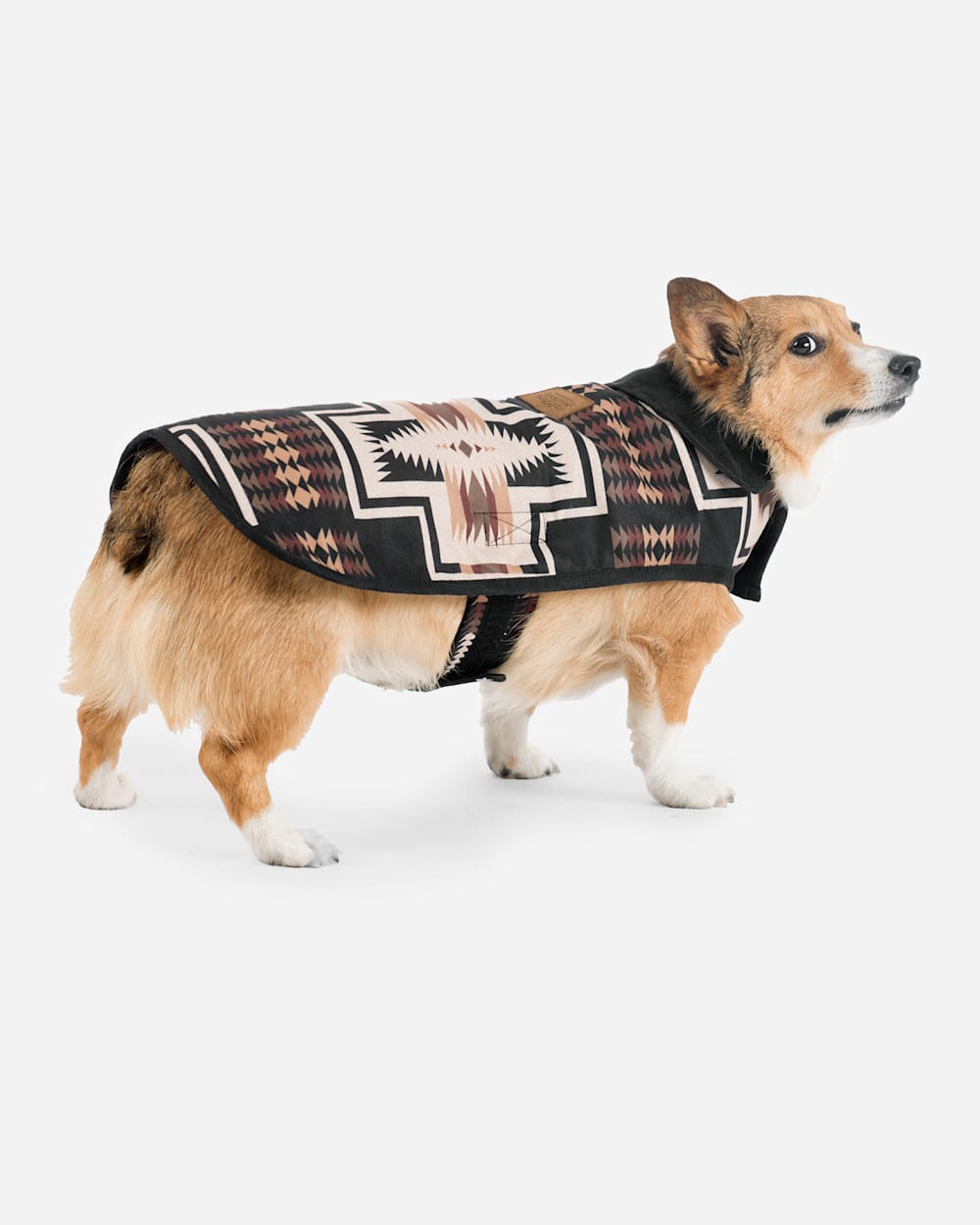 HARDING DOG COAT