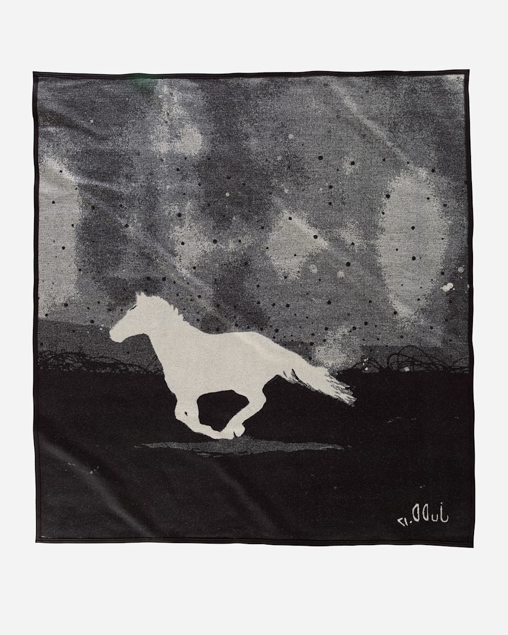 A HORSE CALLED PAINT BLANKET