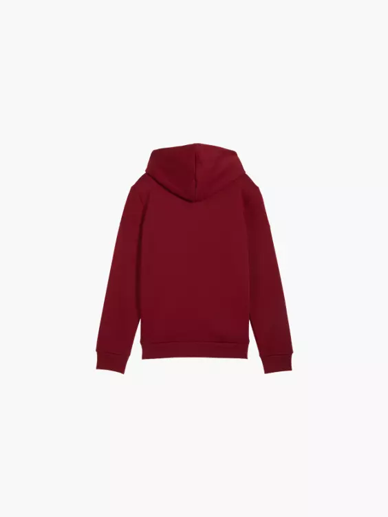 PUMA Hoodie in rot