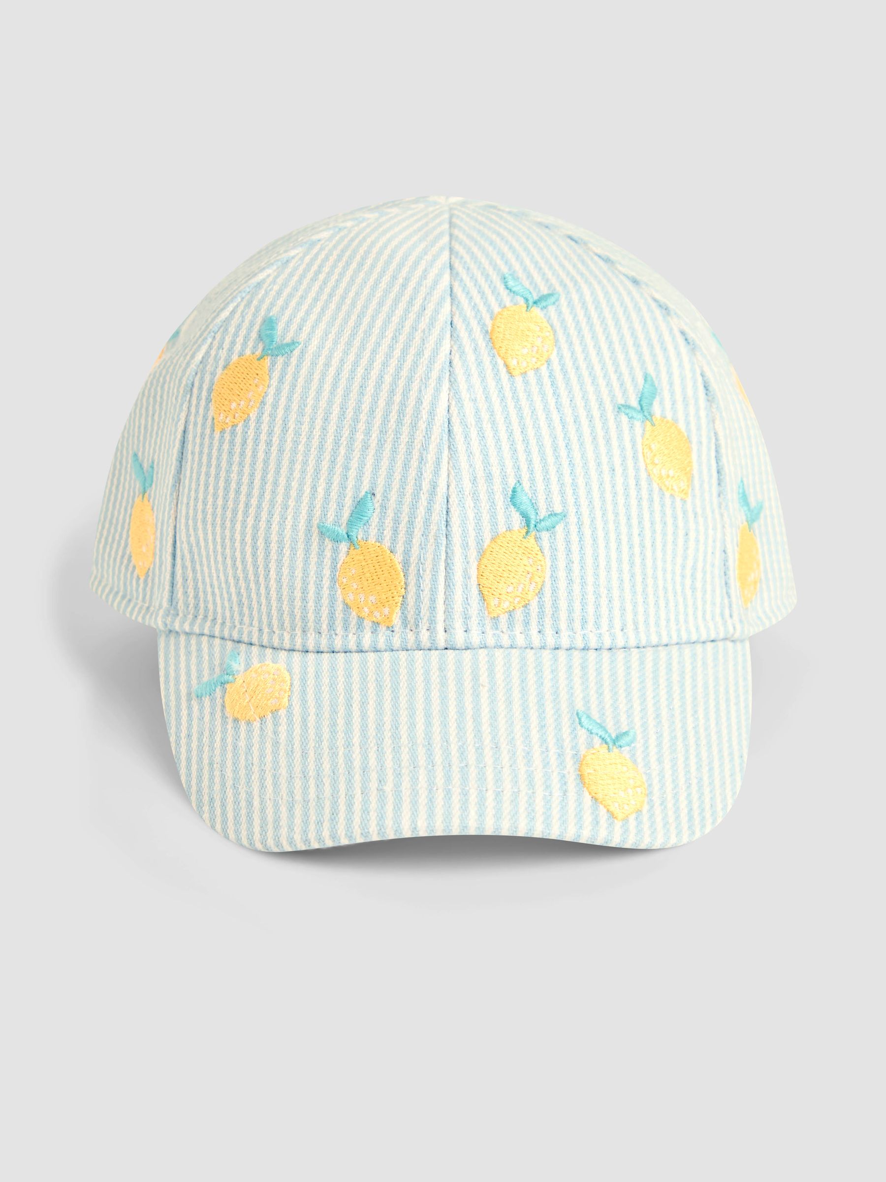 Blue Embroidered Cap