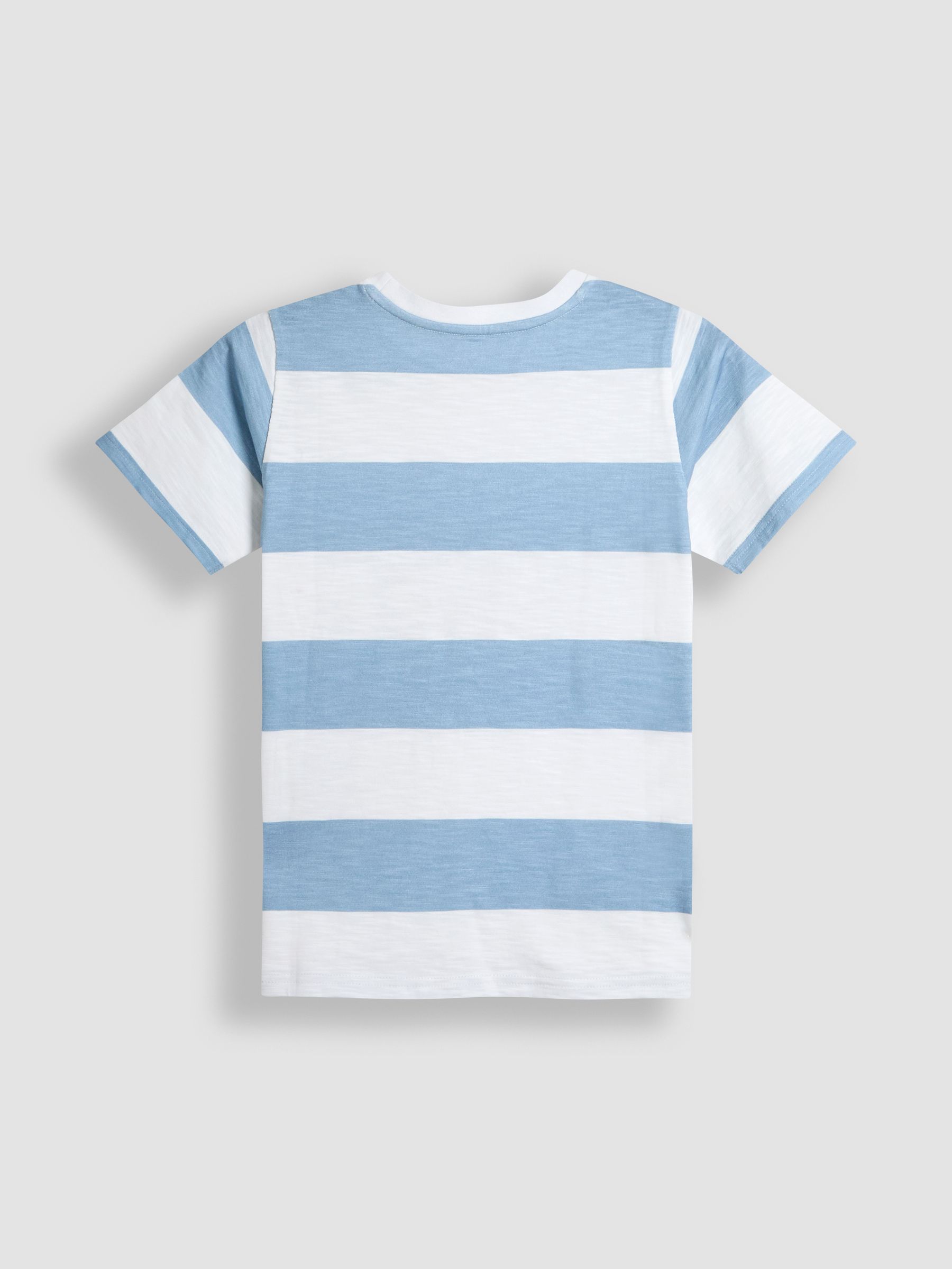 Blue Skate Striped T-Shirt