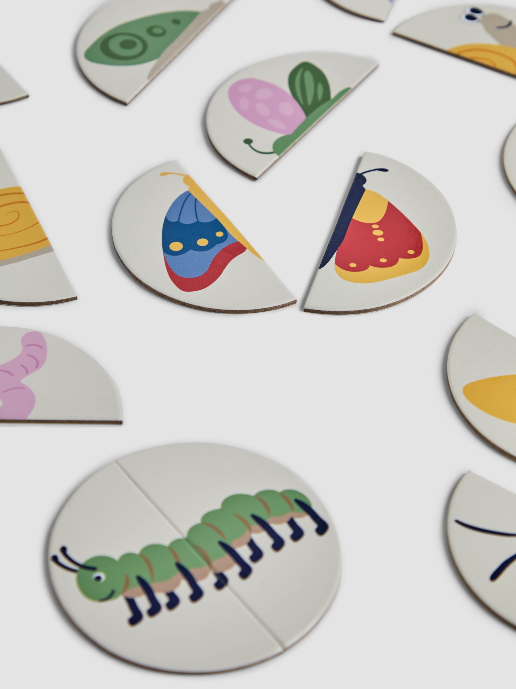 Bug Matching Game