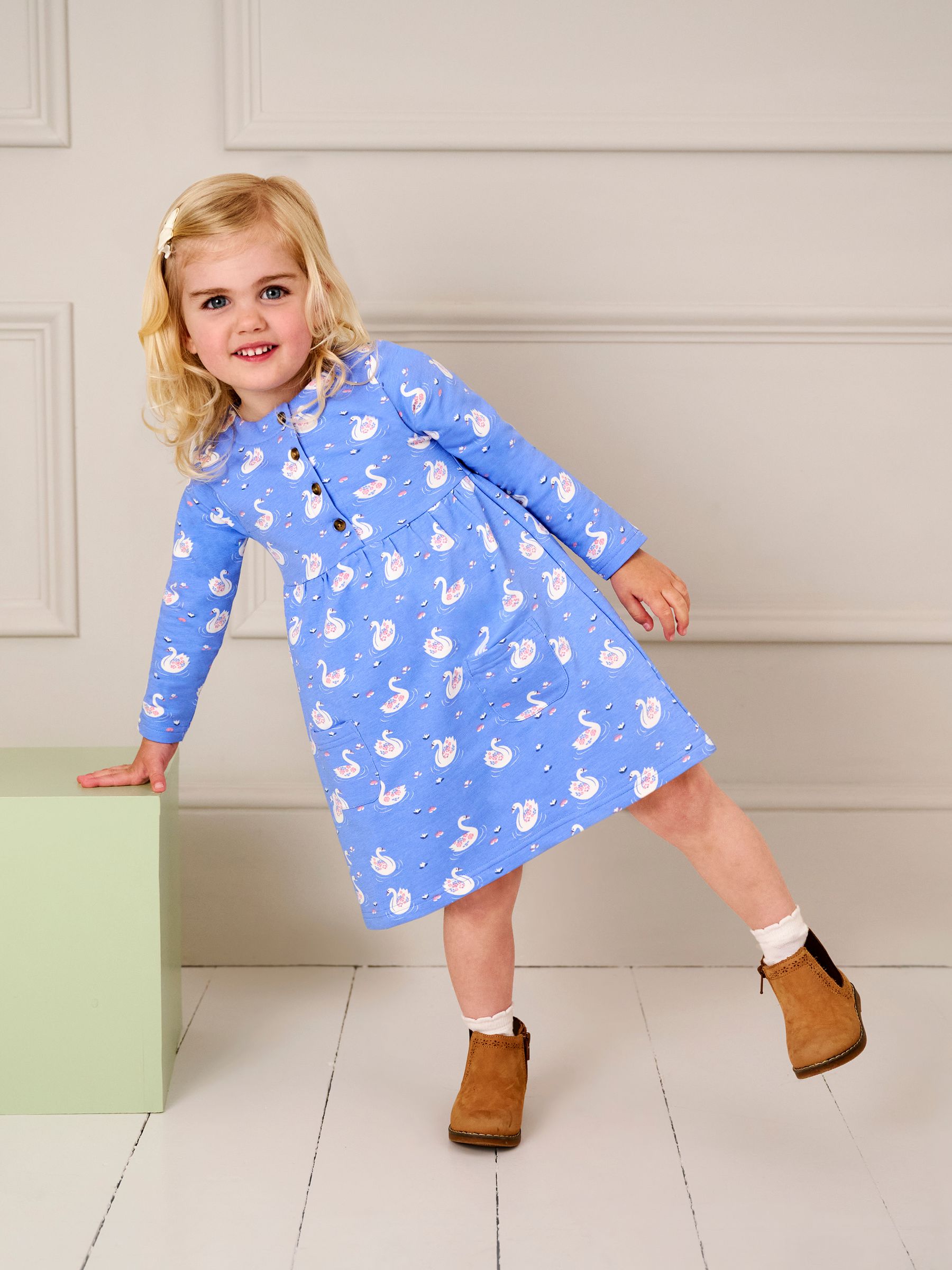 Blue Swan Button Front Dress