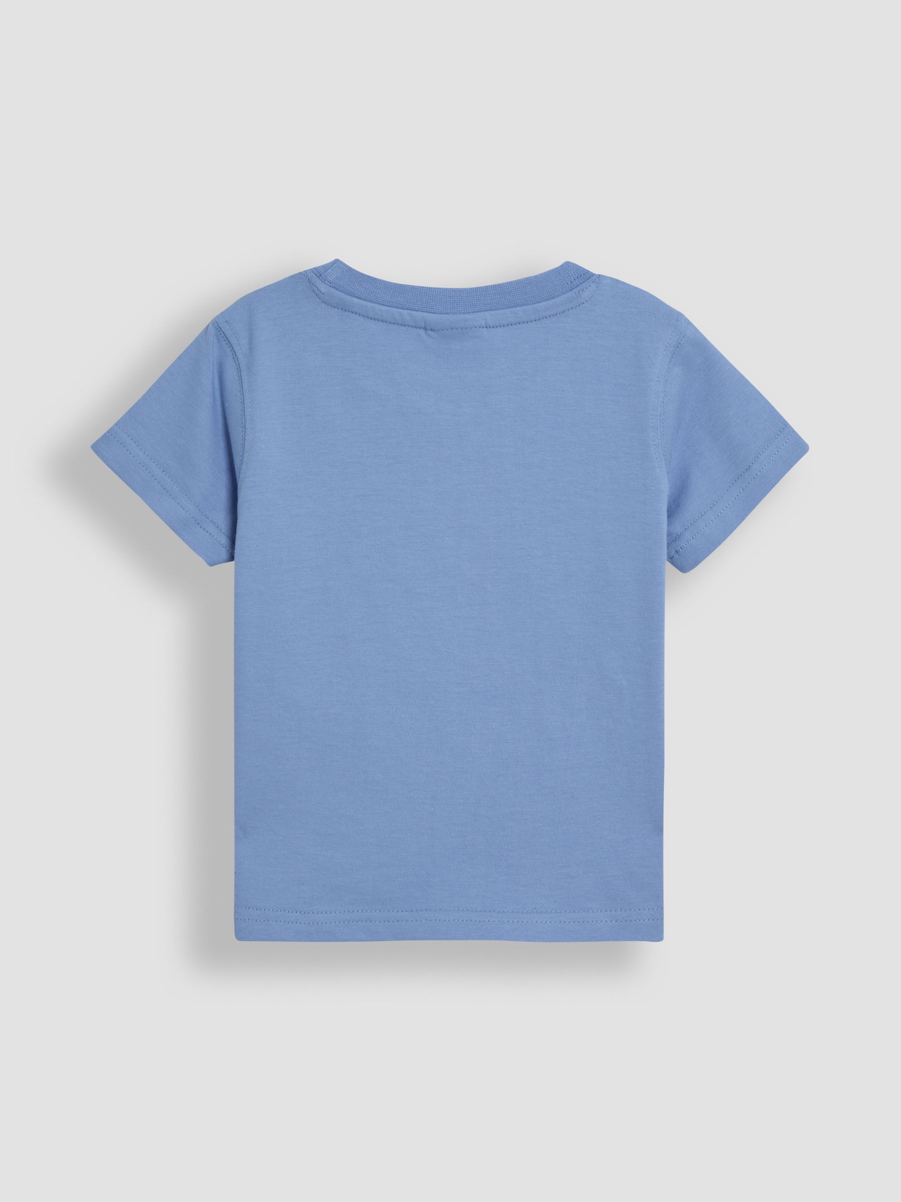 Blue Roarsome 100% Cotton Appliqué T-Shirt