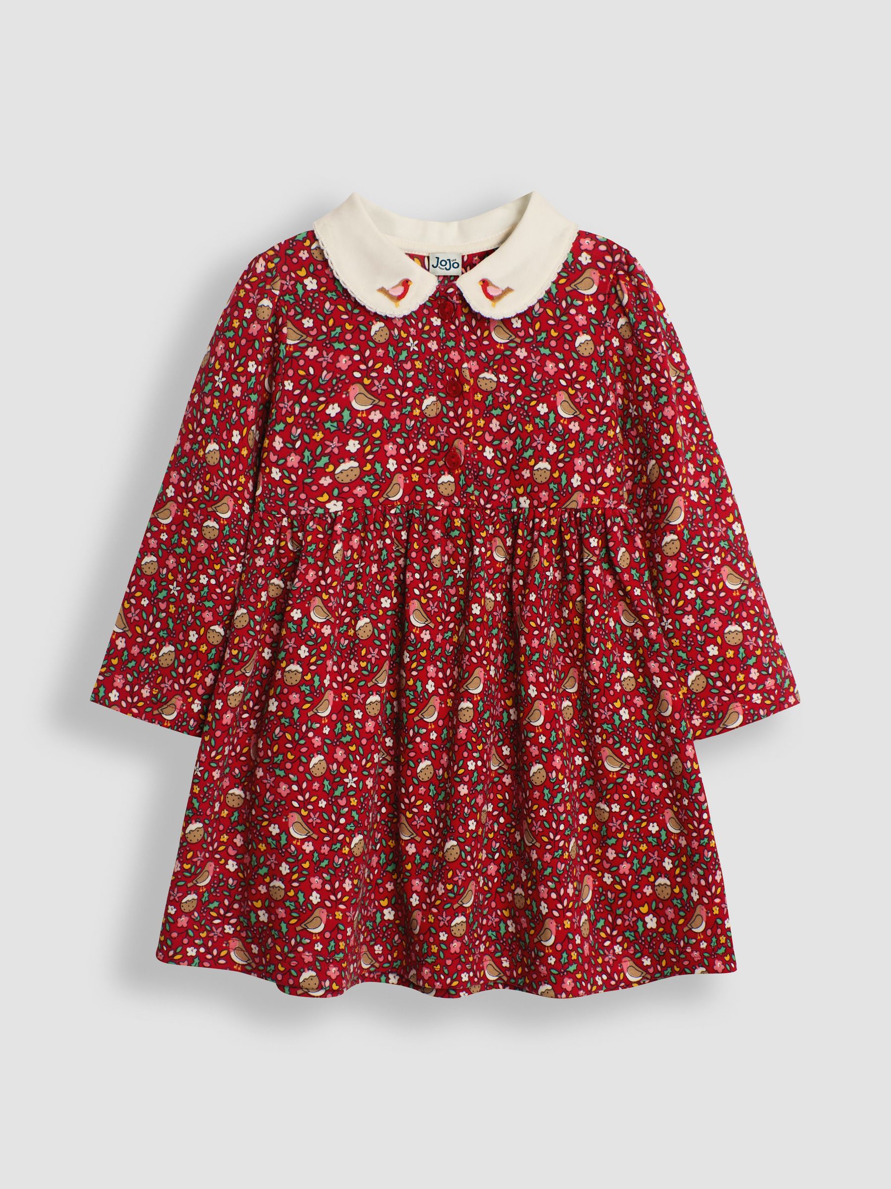 Red Christmas Robin Floral Peter Pan Dress