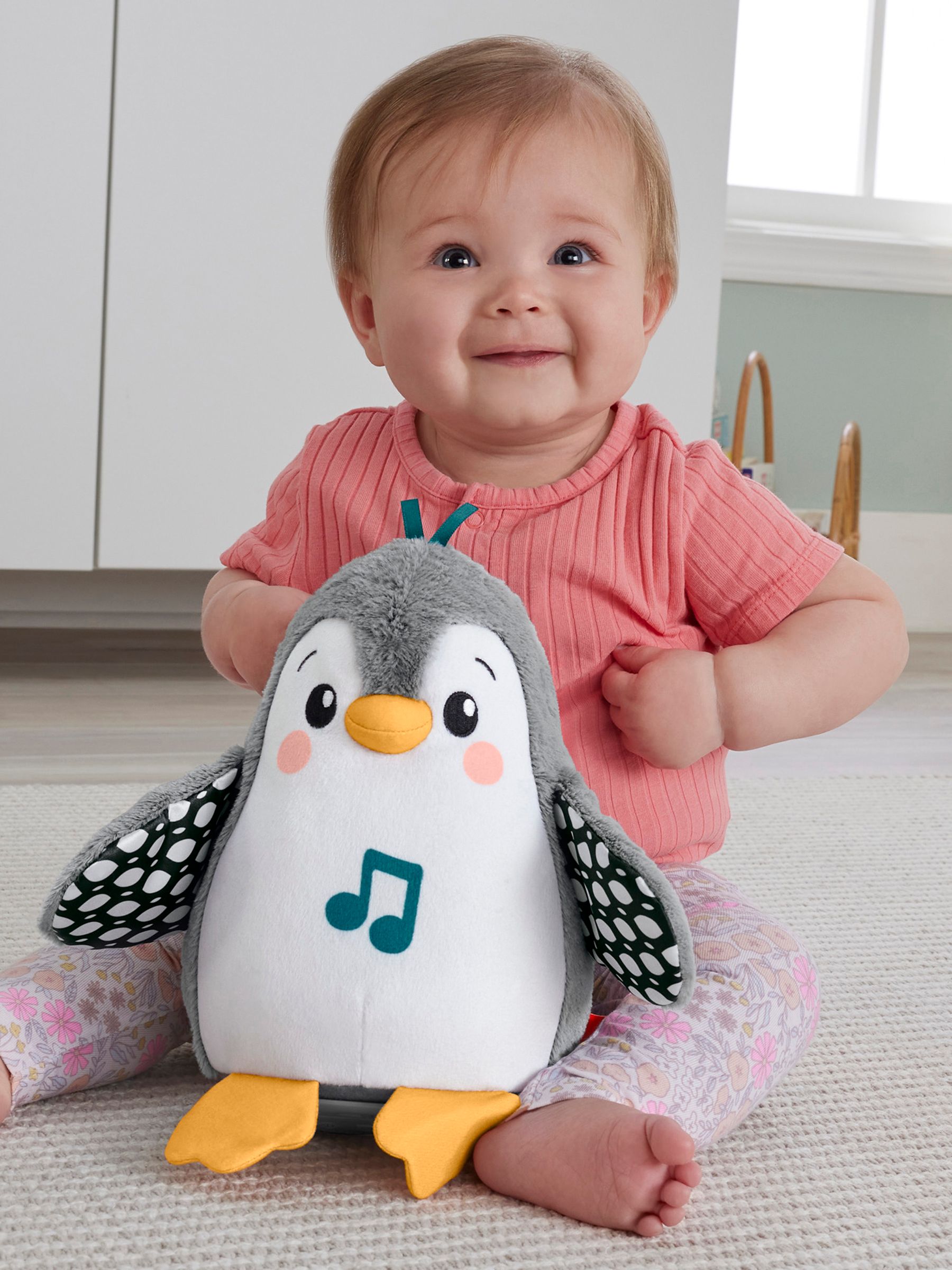 Fisher Price Flap N Wobble Penguin