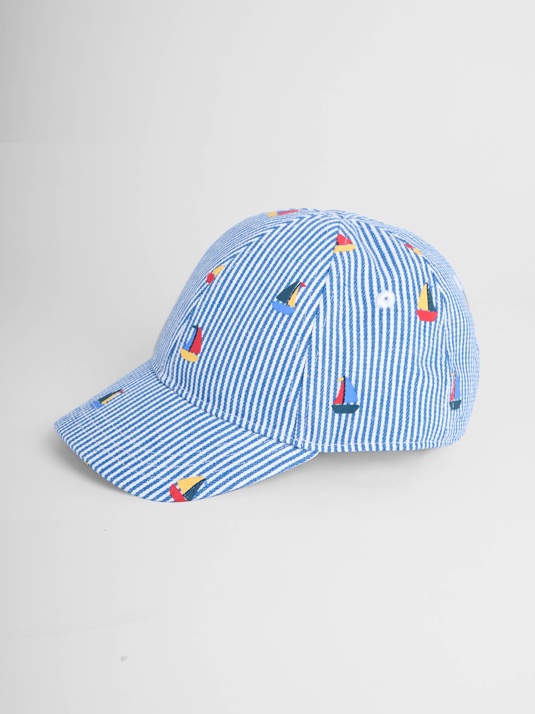 Blue Embroidered Cap