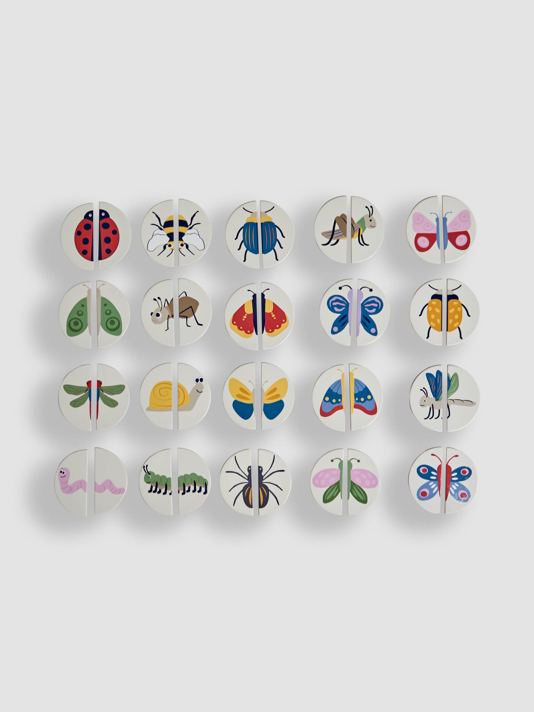 Bug Matching Game