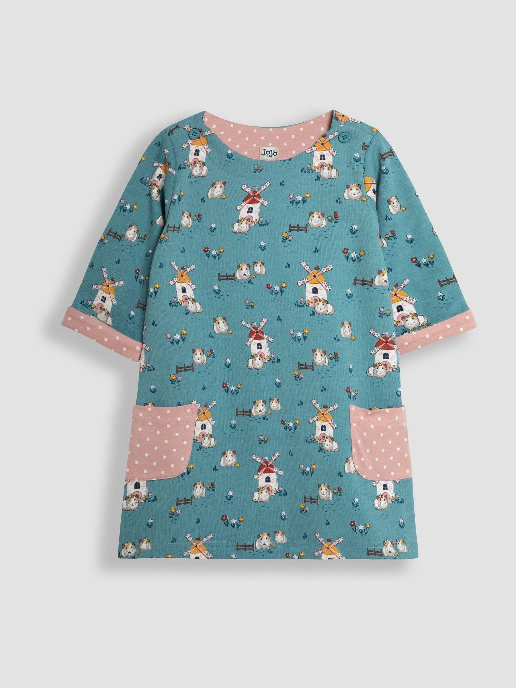 Duck Egg Blue Guinea Pig A-Line Dress