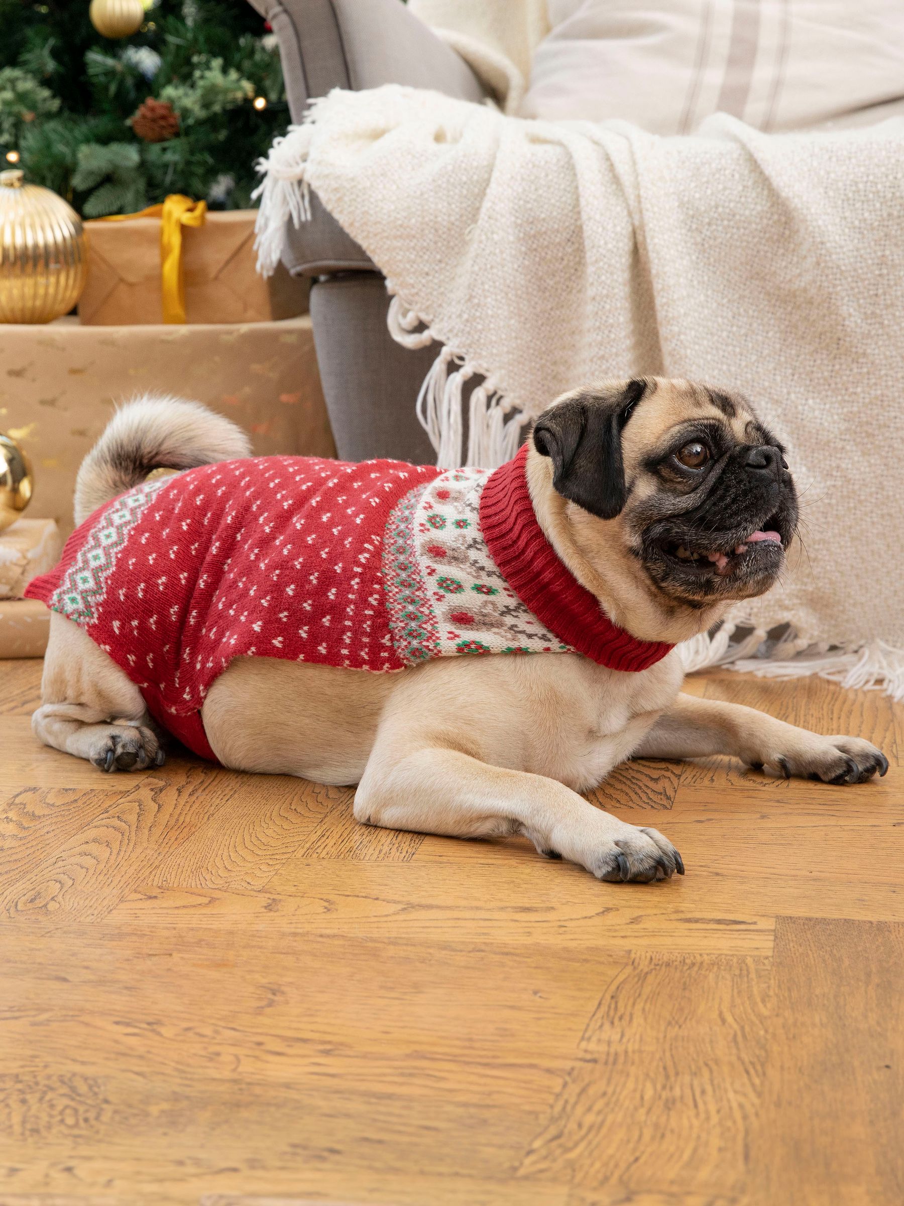 Red Reindeer Fair Isle Pets Jumper