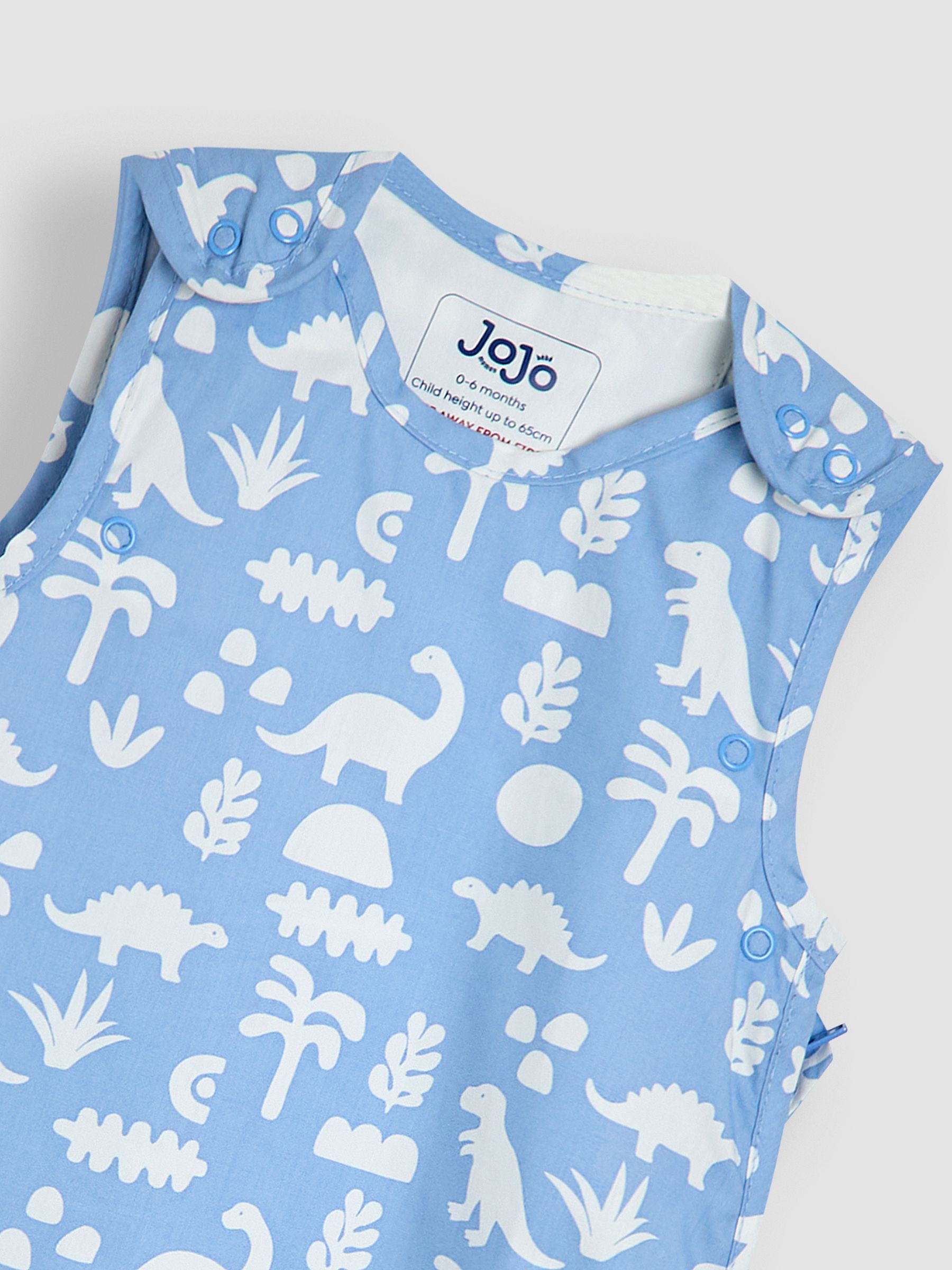 Dinosaur 1 Tog Baby Sheet Sleeping Bag