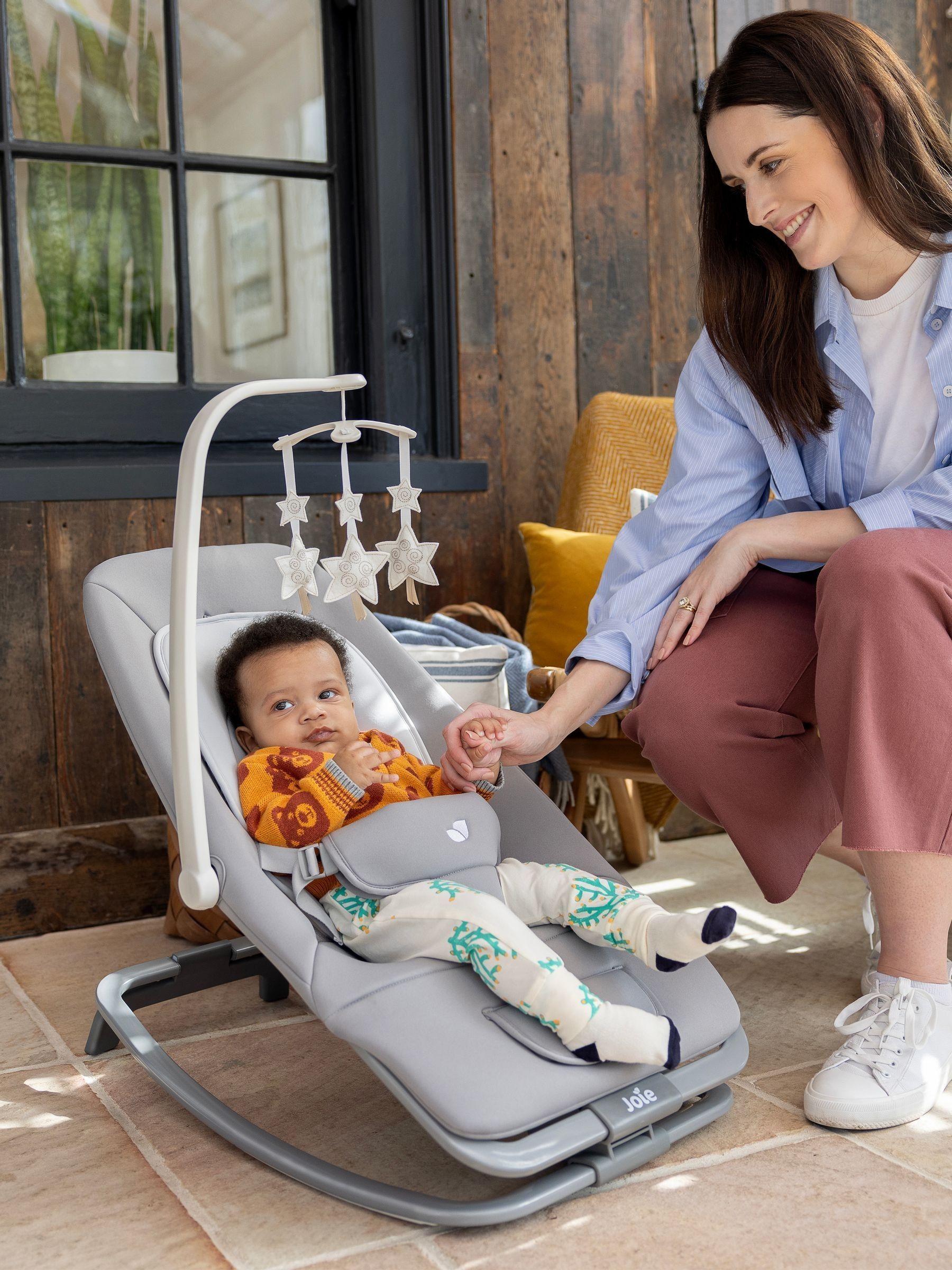 Joie Arctic Dreamer Rocker