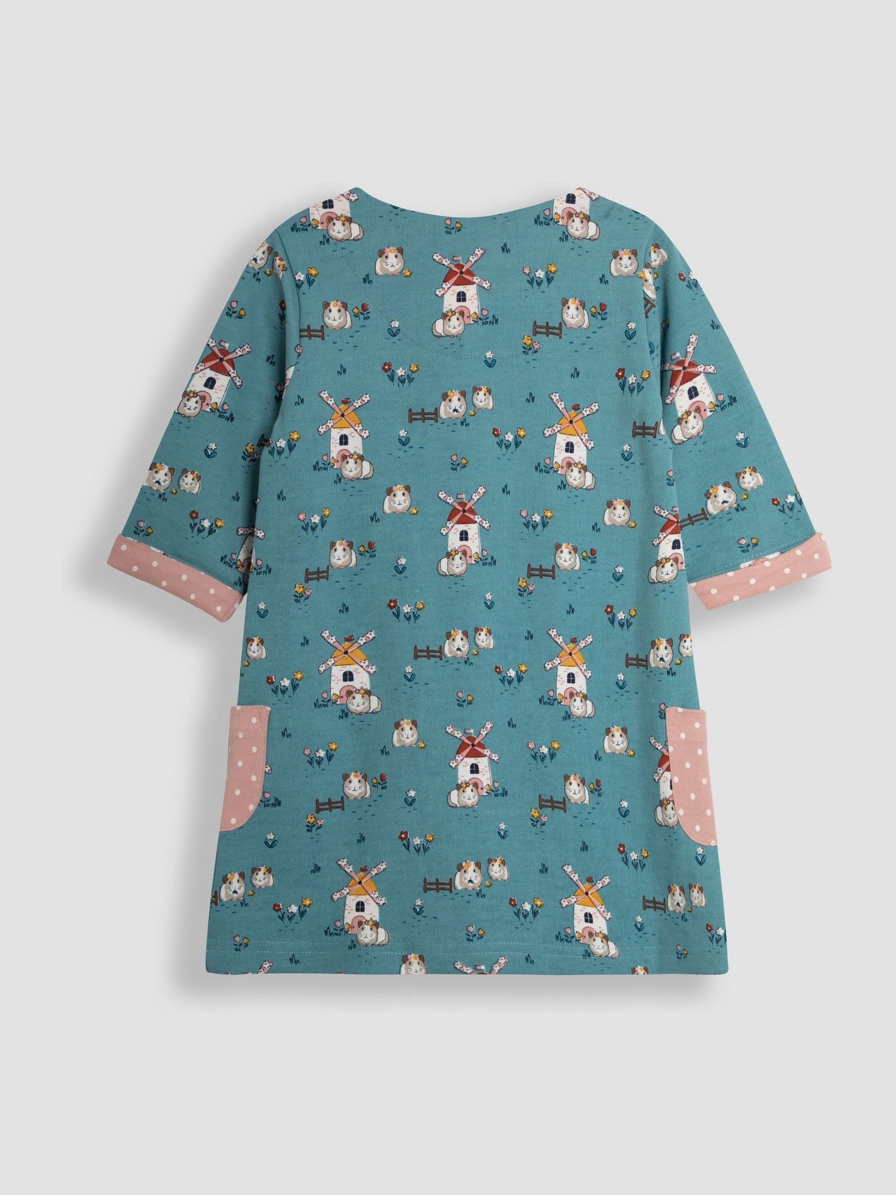 Duck Egg Blue Guinea Pig A-Line Dress
