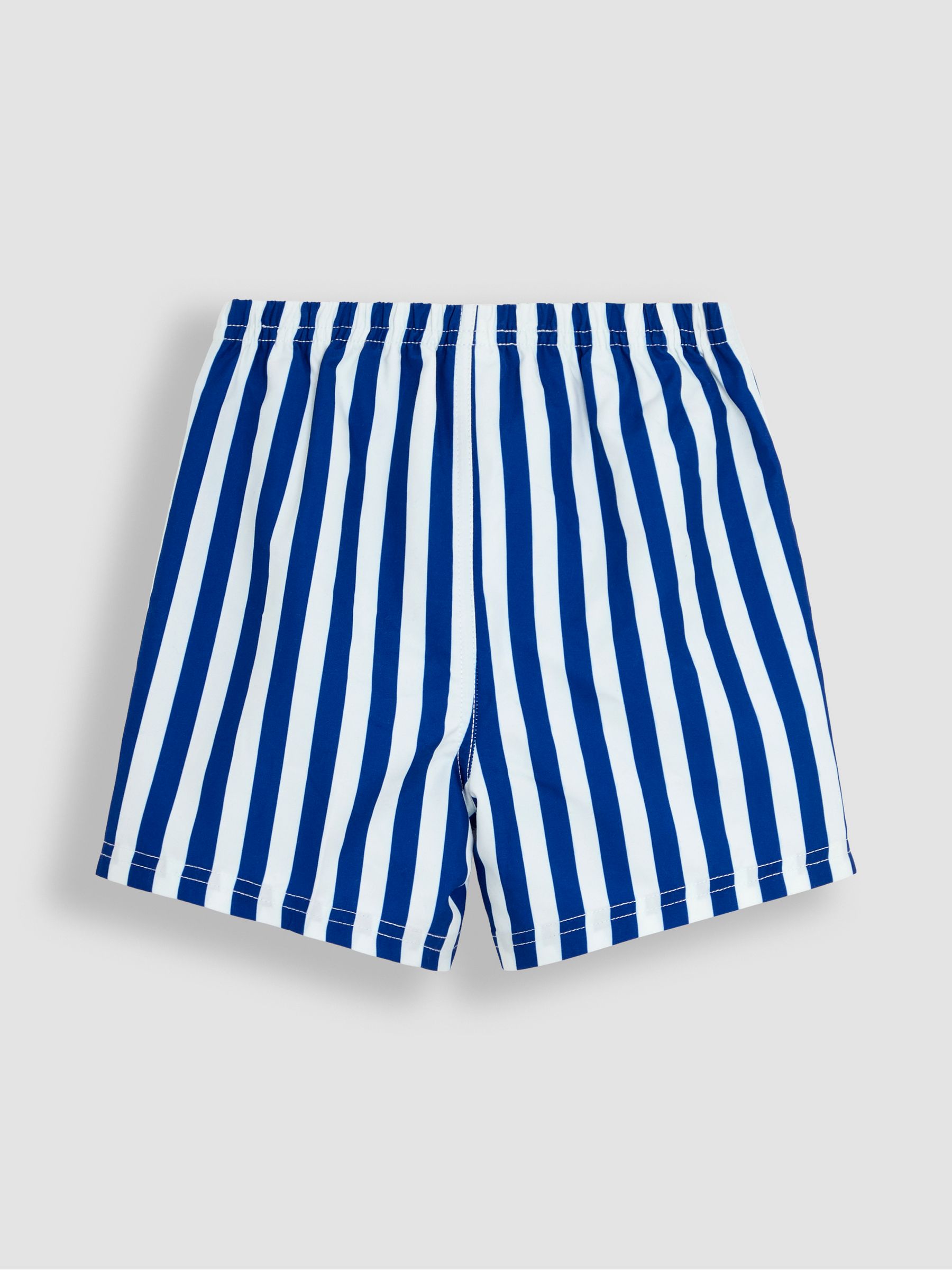 Blue Stripe Swim Shorts