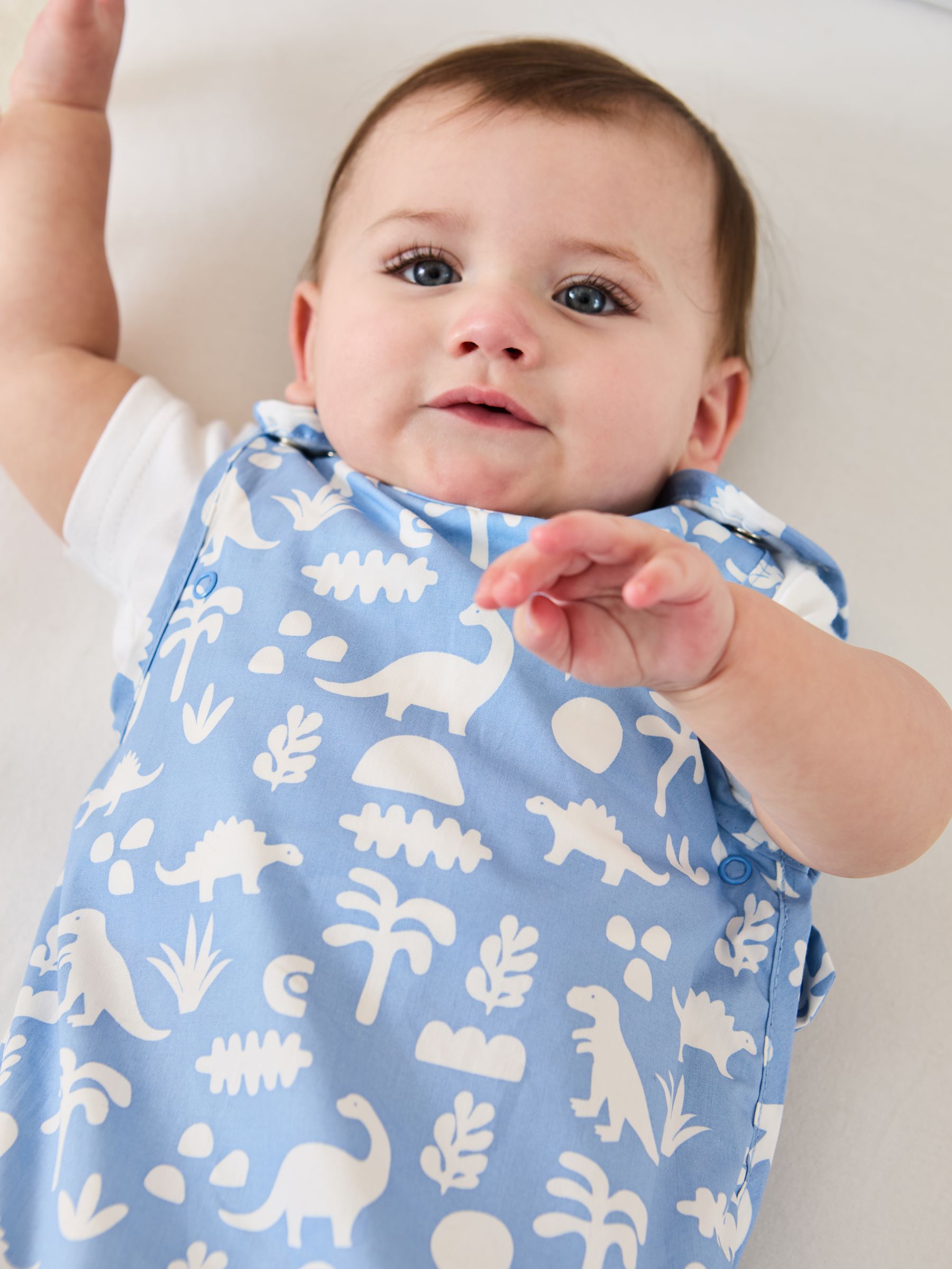 Dinosaur 1 Tog Baby Sheet Sleeping Bag