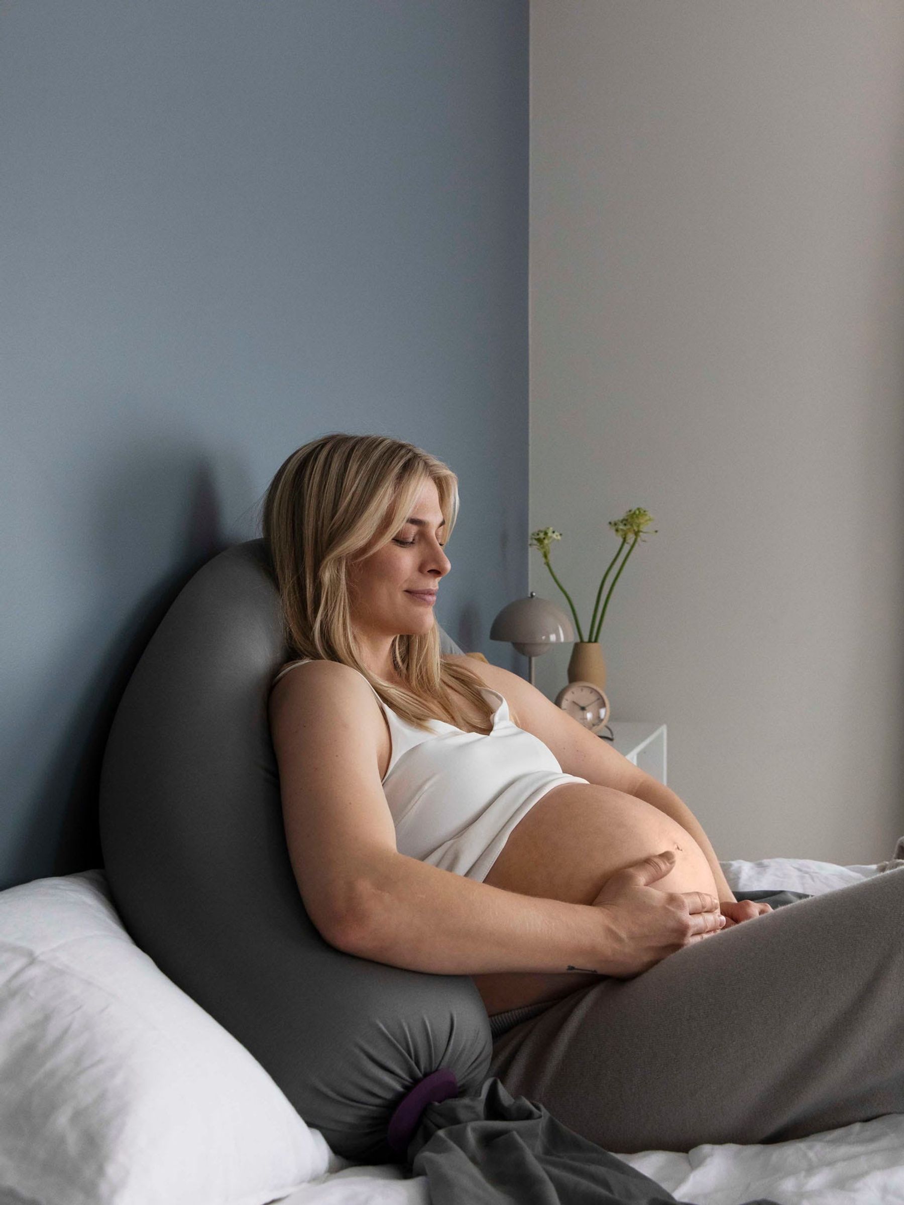 bbhugme Pregnancy Pillow