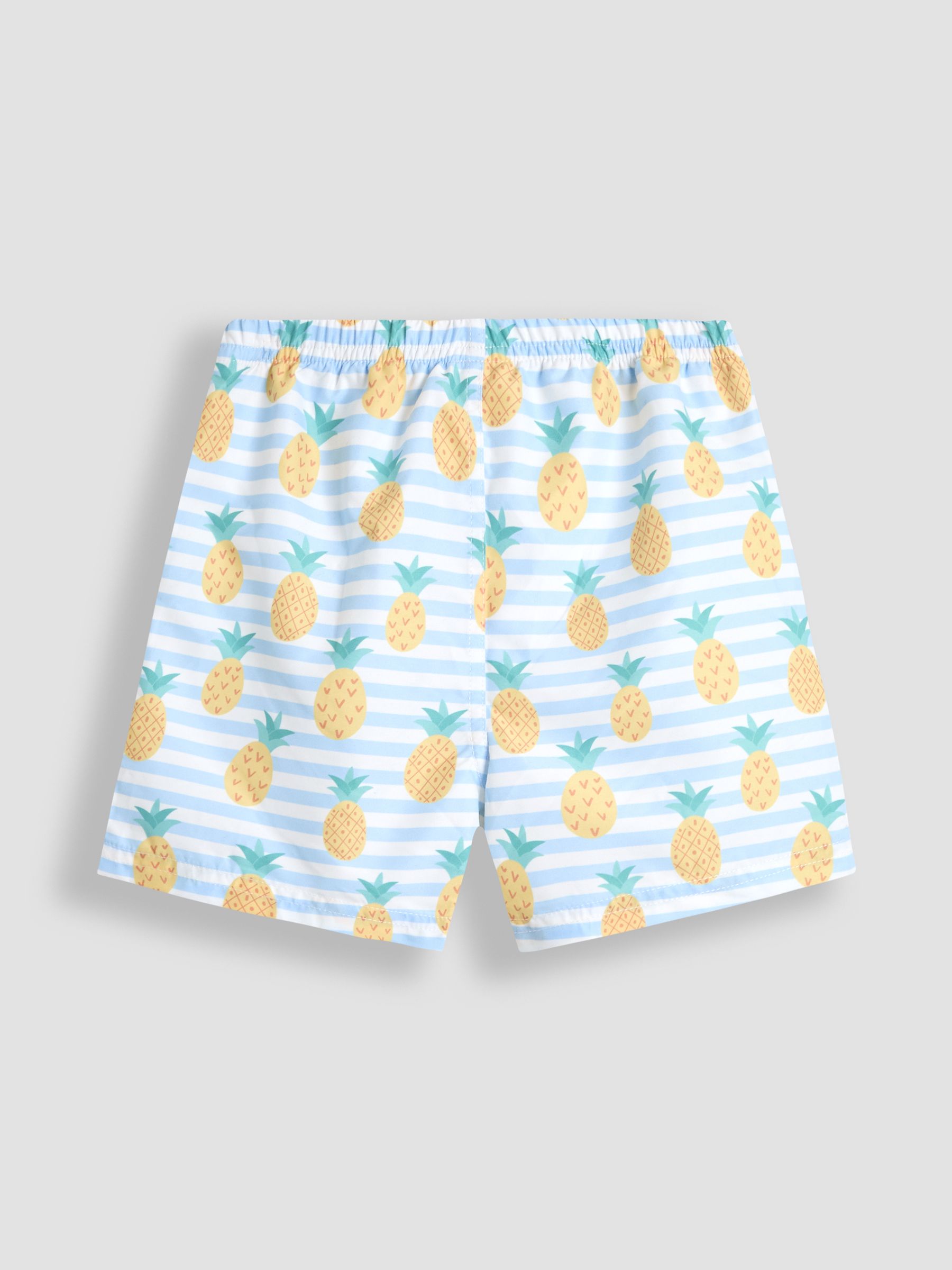 Stripe Print Swim Shorts