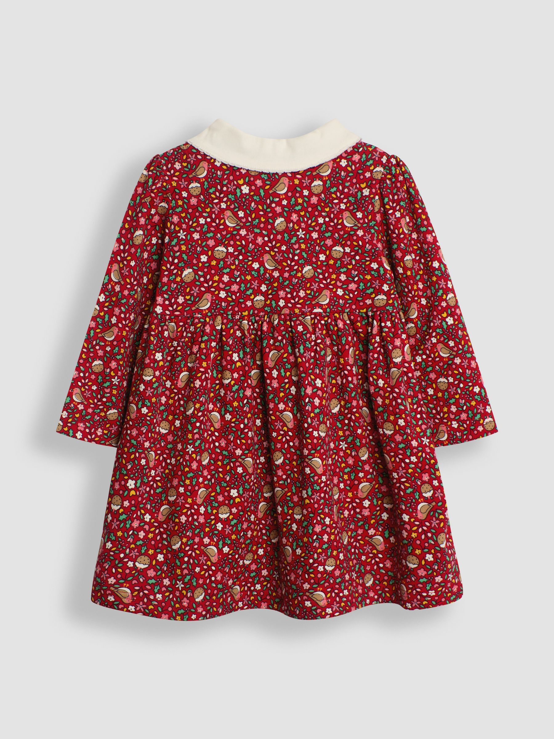Red Christmas Robin Floral Peter Pan Dress