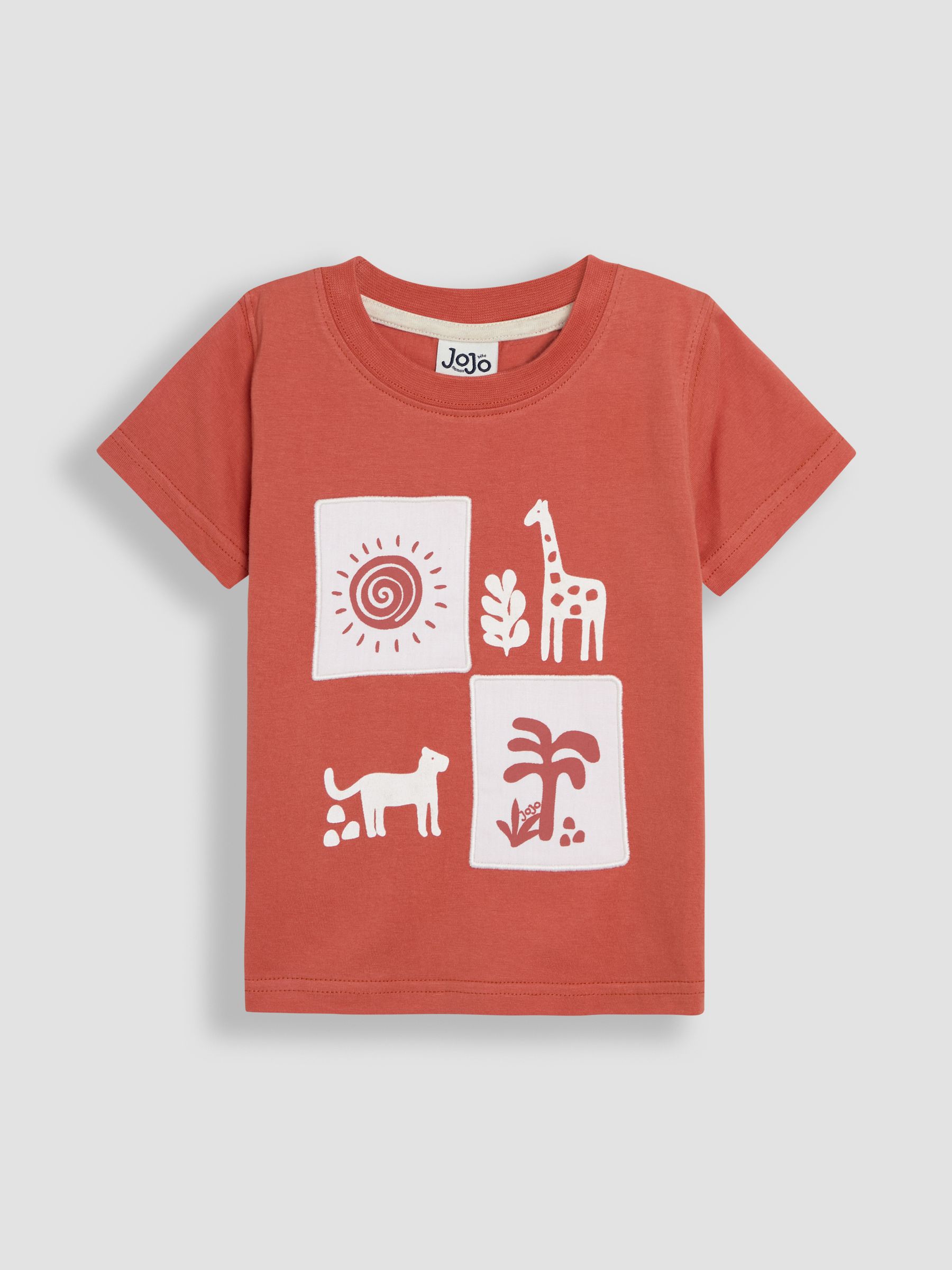 Orange Safari Graphic Printed & Plain T-Shirts 2 Pack