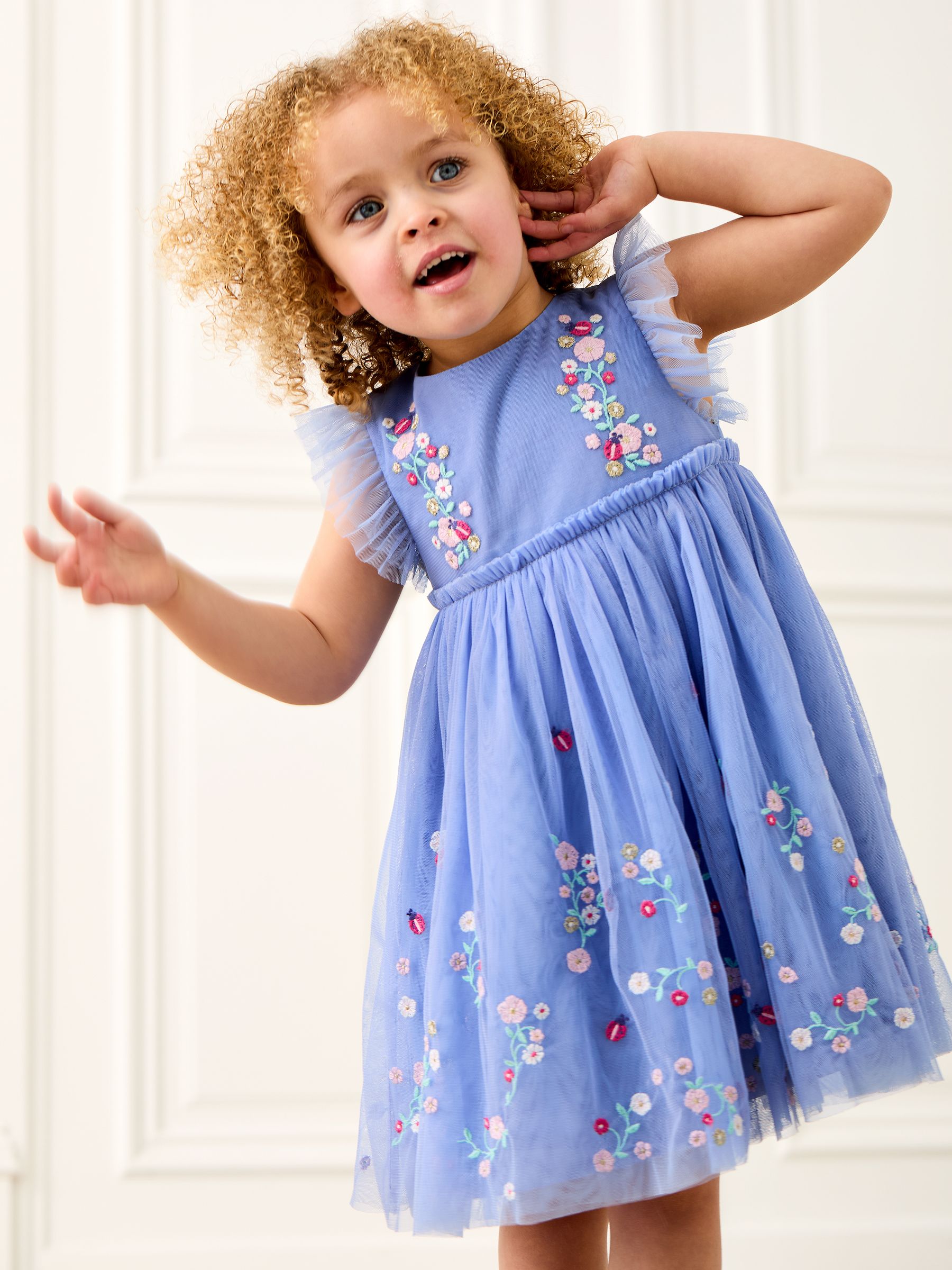 Blue Ladybird Floral Frill Embroidered Tulle Party Dress
