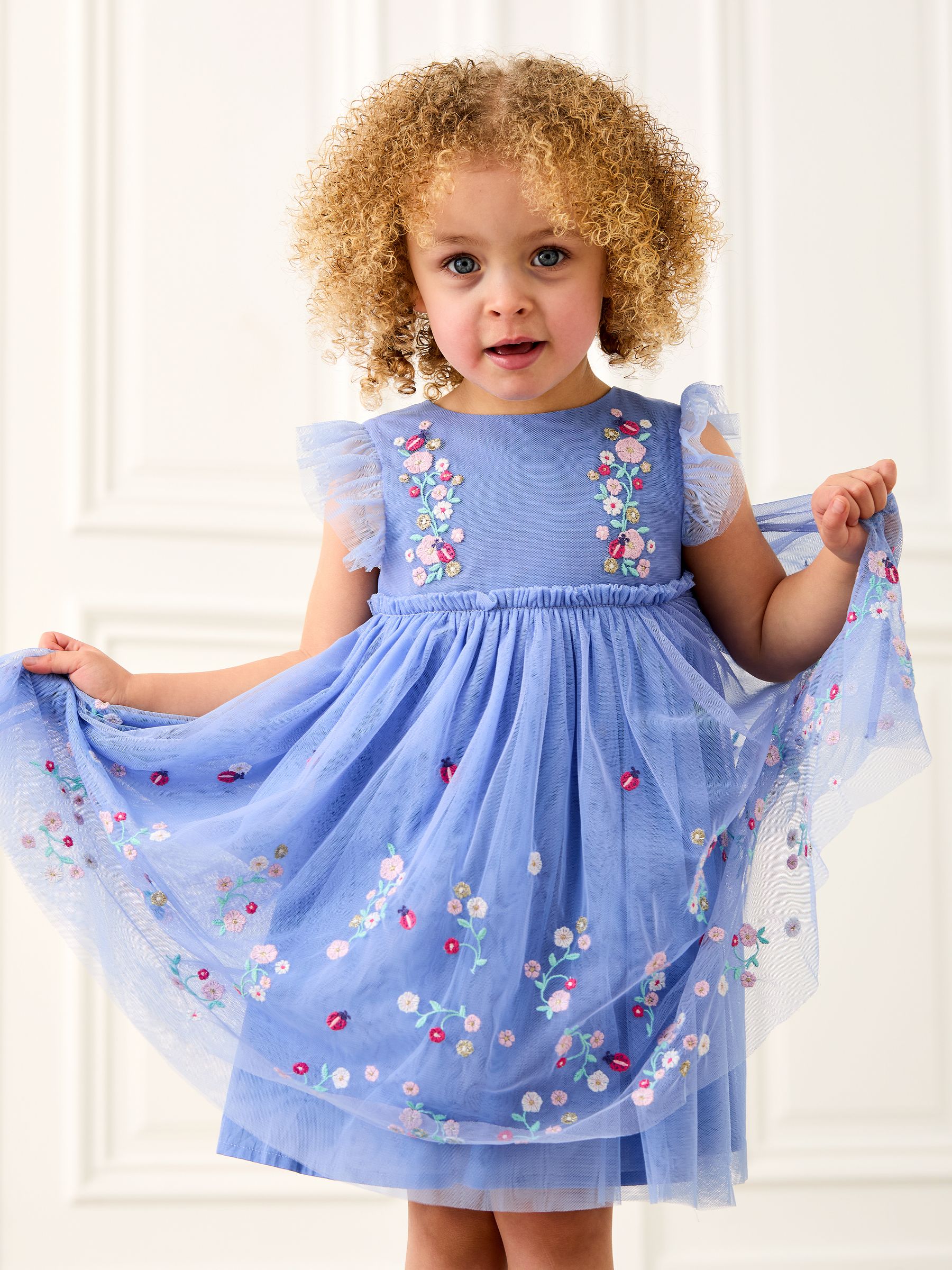Blue Ladybird Floral Frill Embroidered Tulle Party Dress