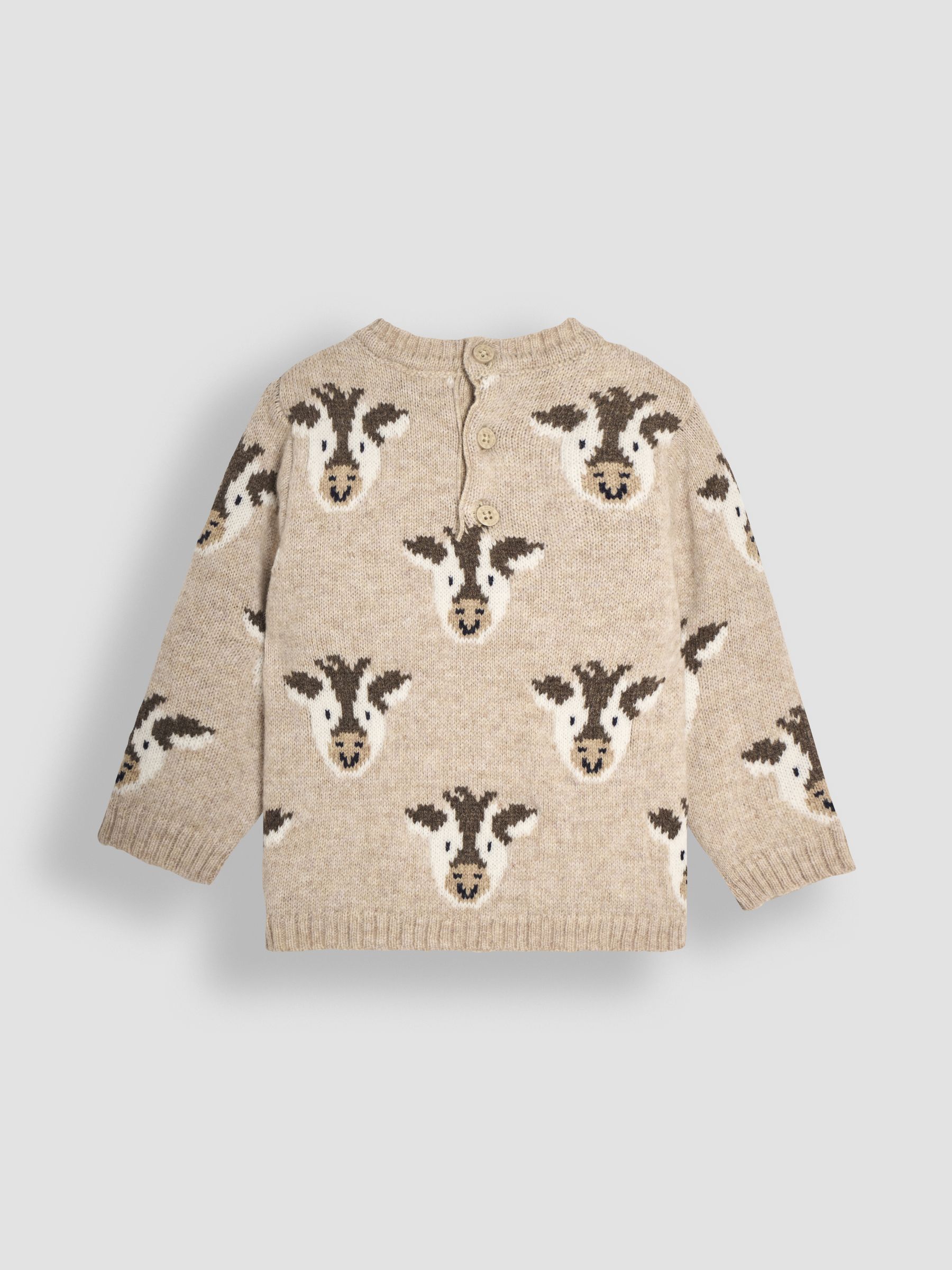 Natural Friesian Cow Jumper