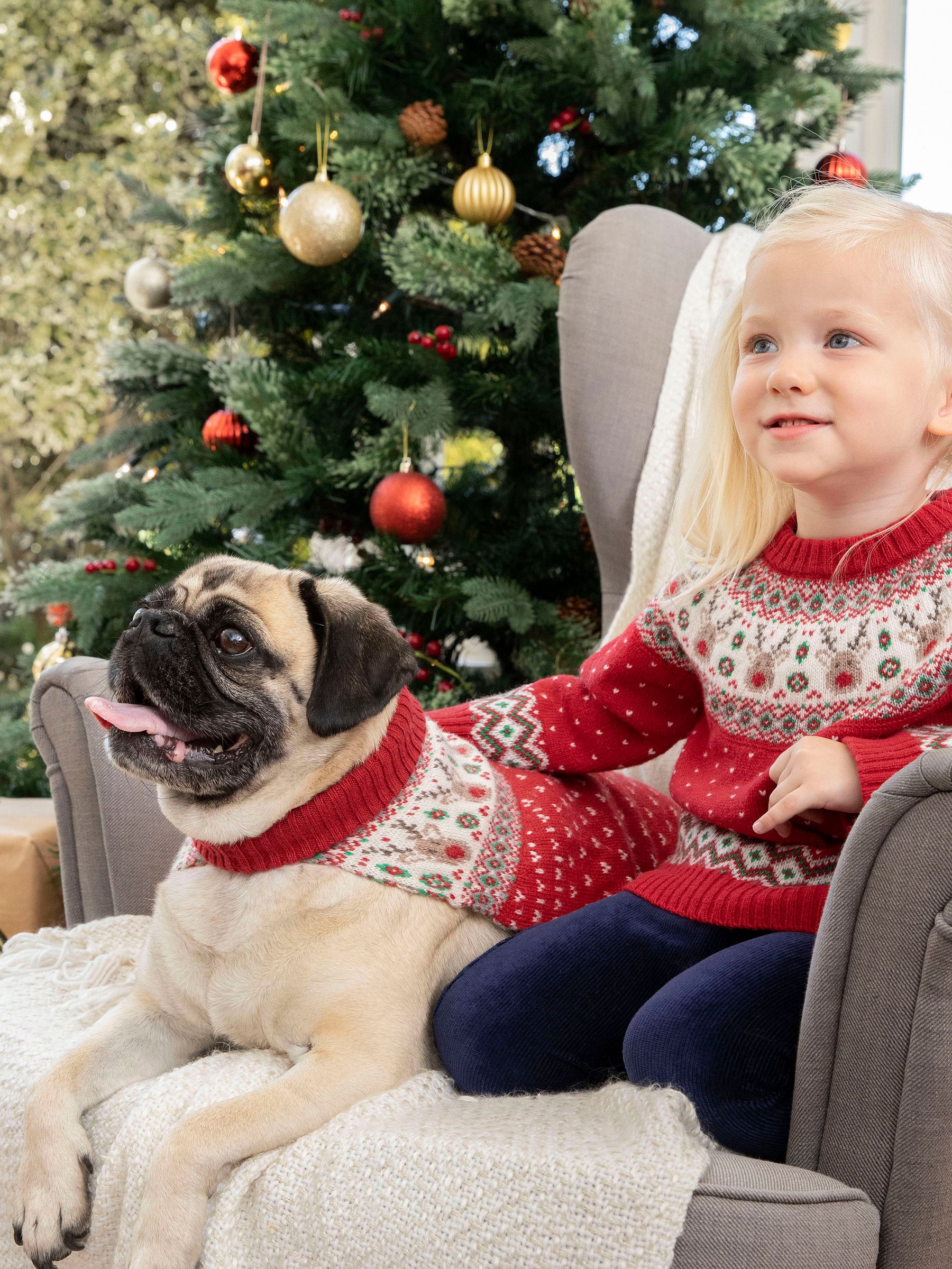 Red Reindeer Fair Isle Pets Jumper