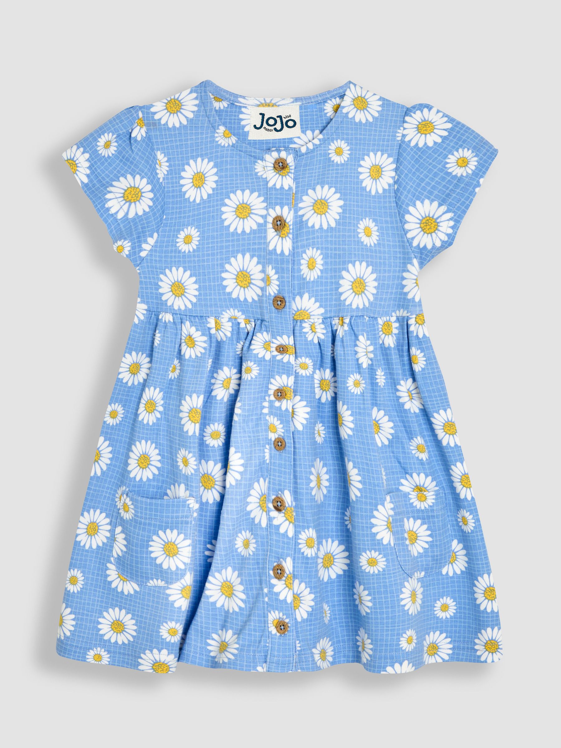 Blue Daisy Button Through Dress