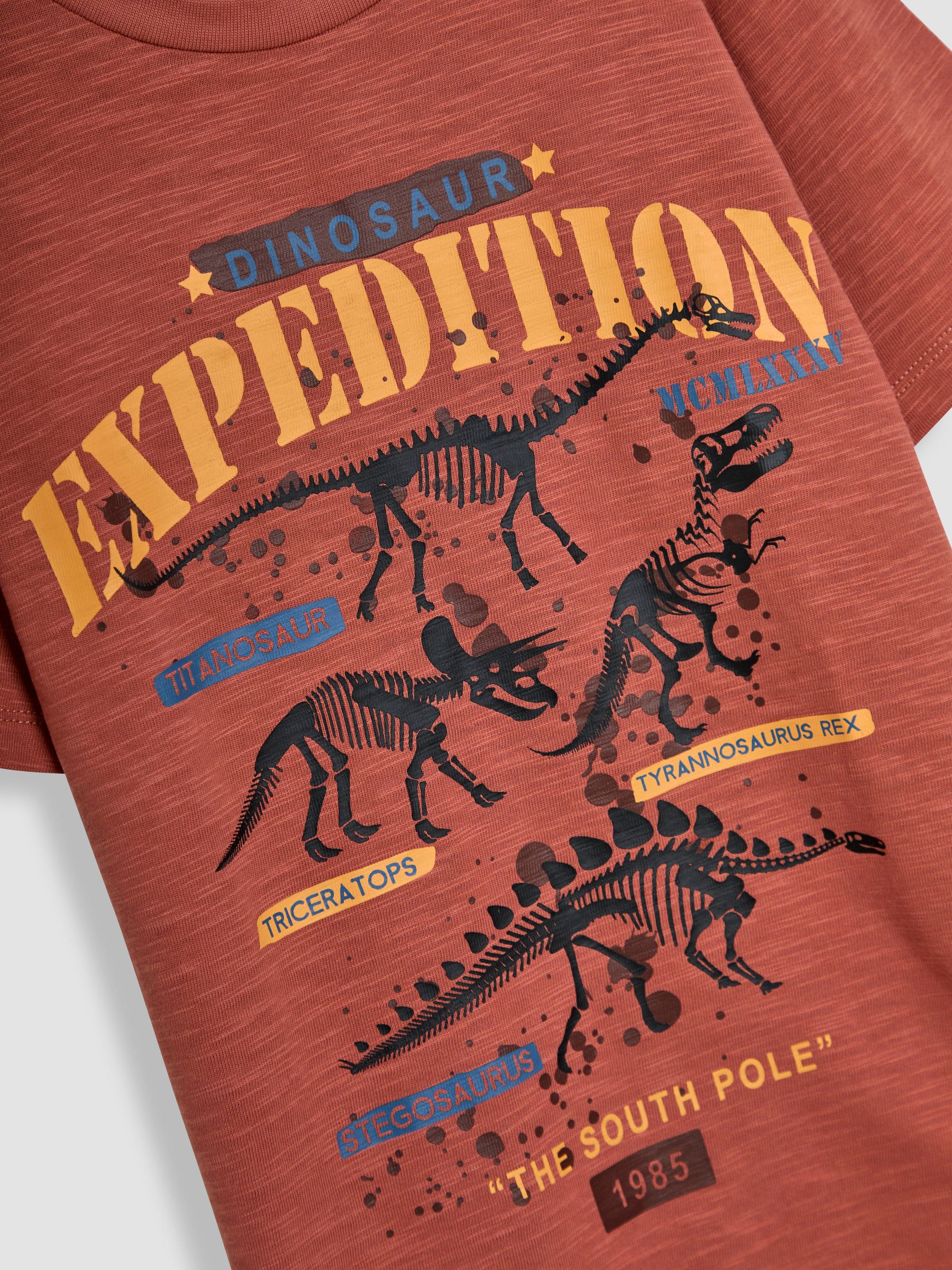 Rust Dino Graphic Print T-Shirt