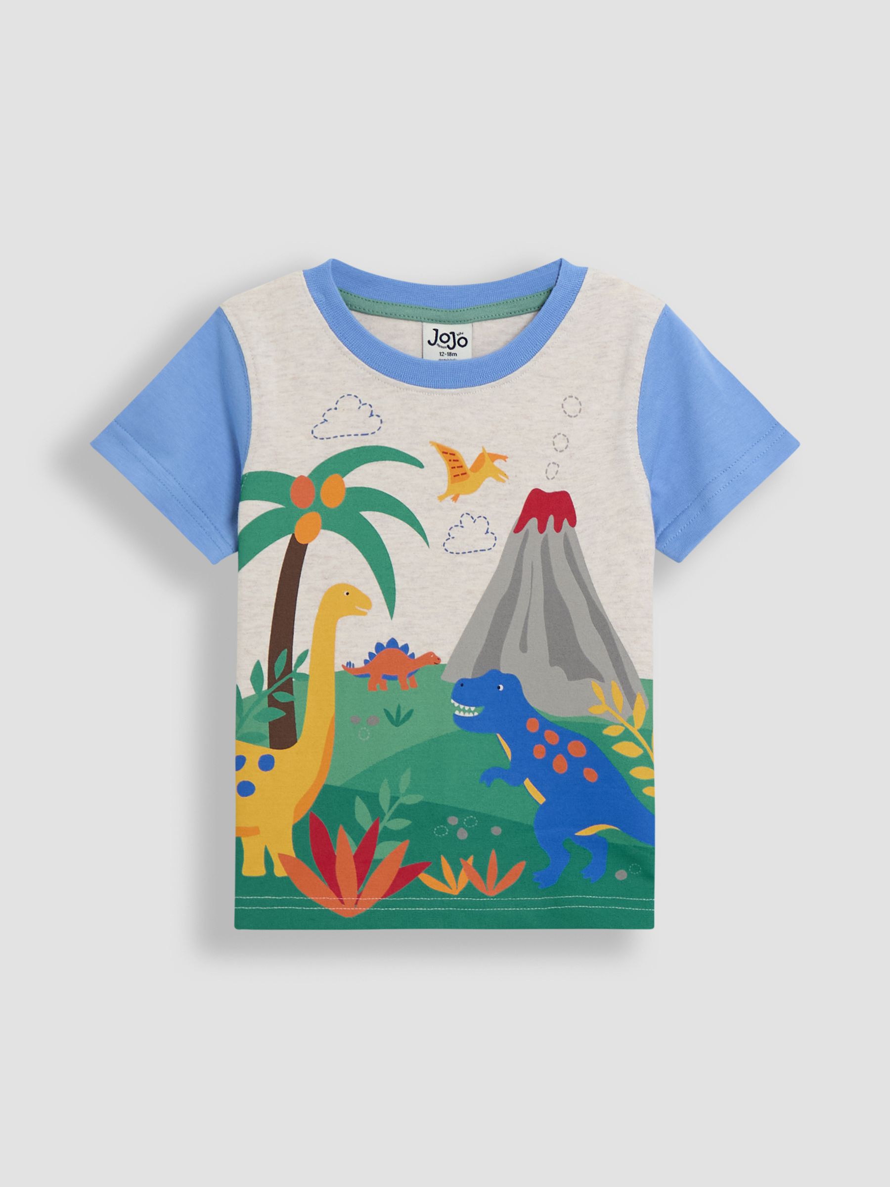 Blue Dino Scene Appliqué T-Shirt & Shorts Set 2 Piece