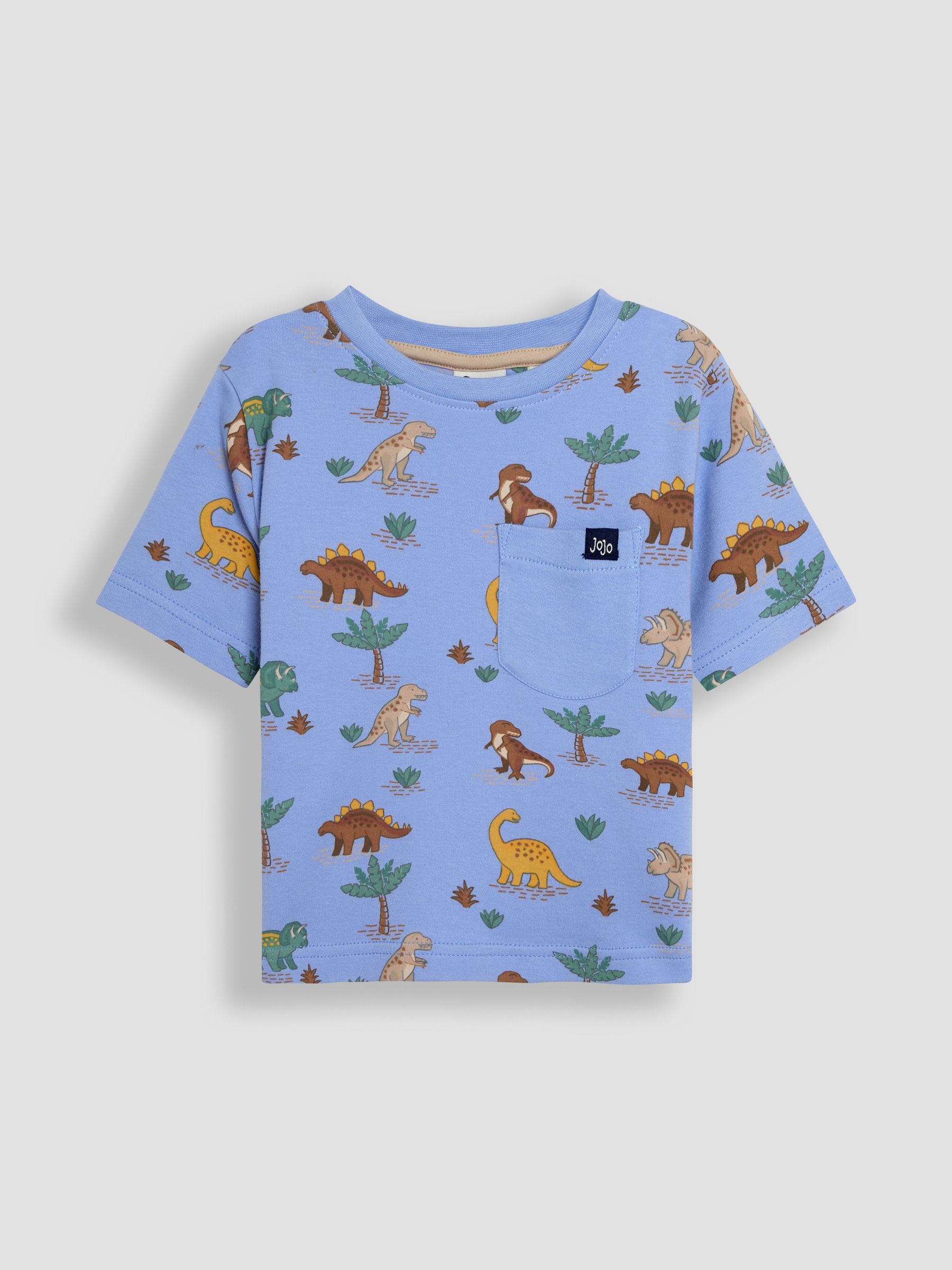 Blue Printed T-Shirt