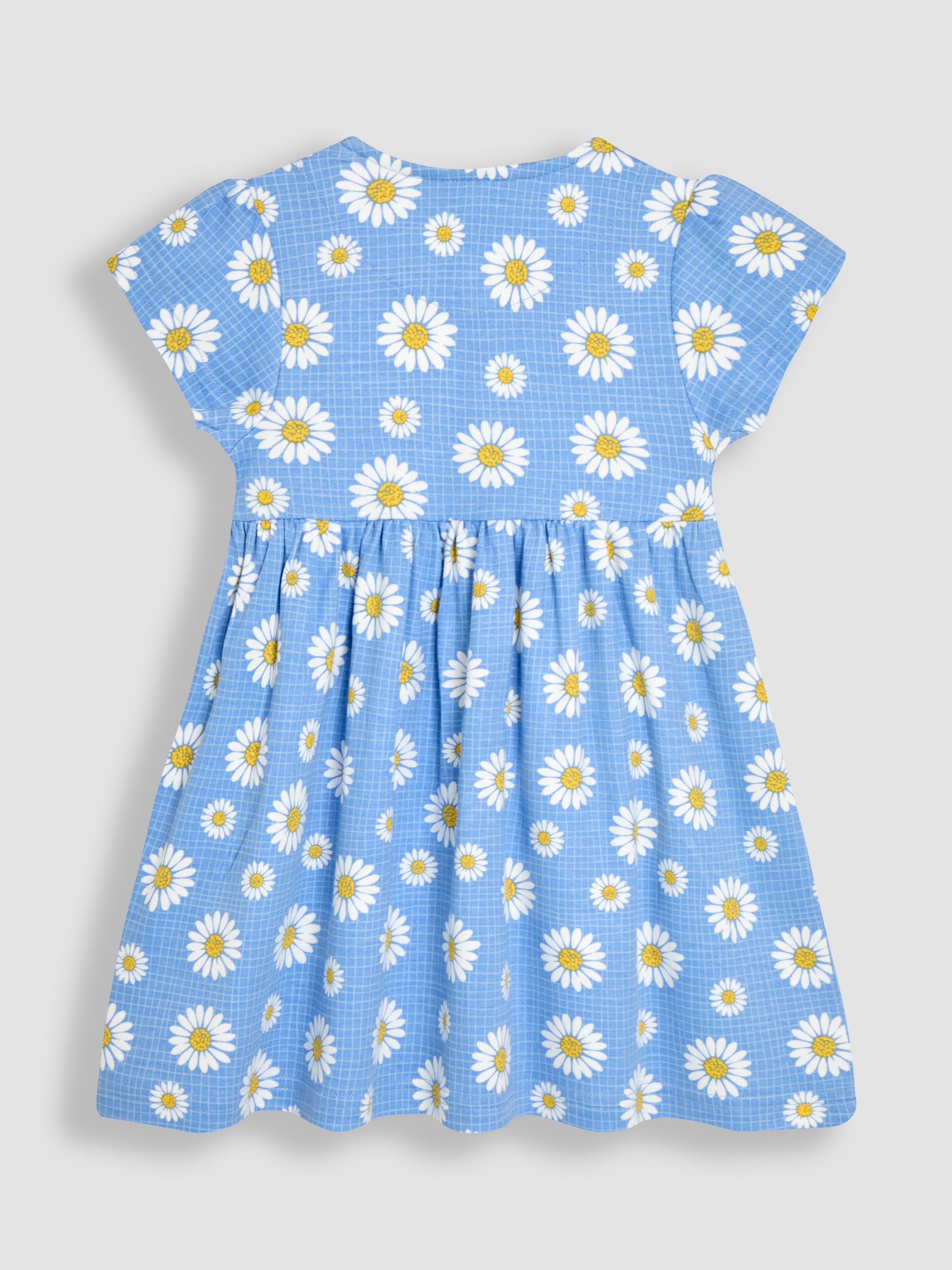 Blue Daisy Button Through Dress