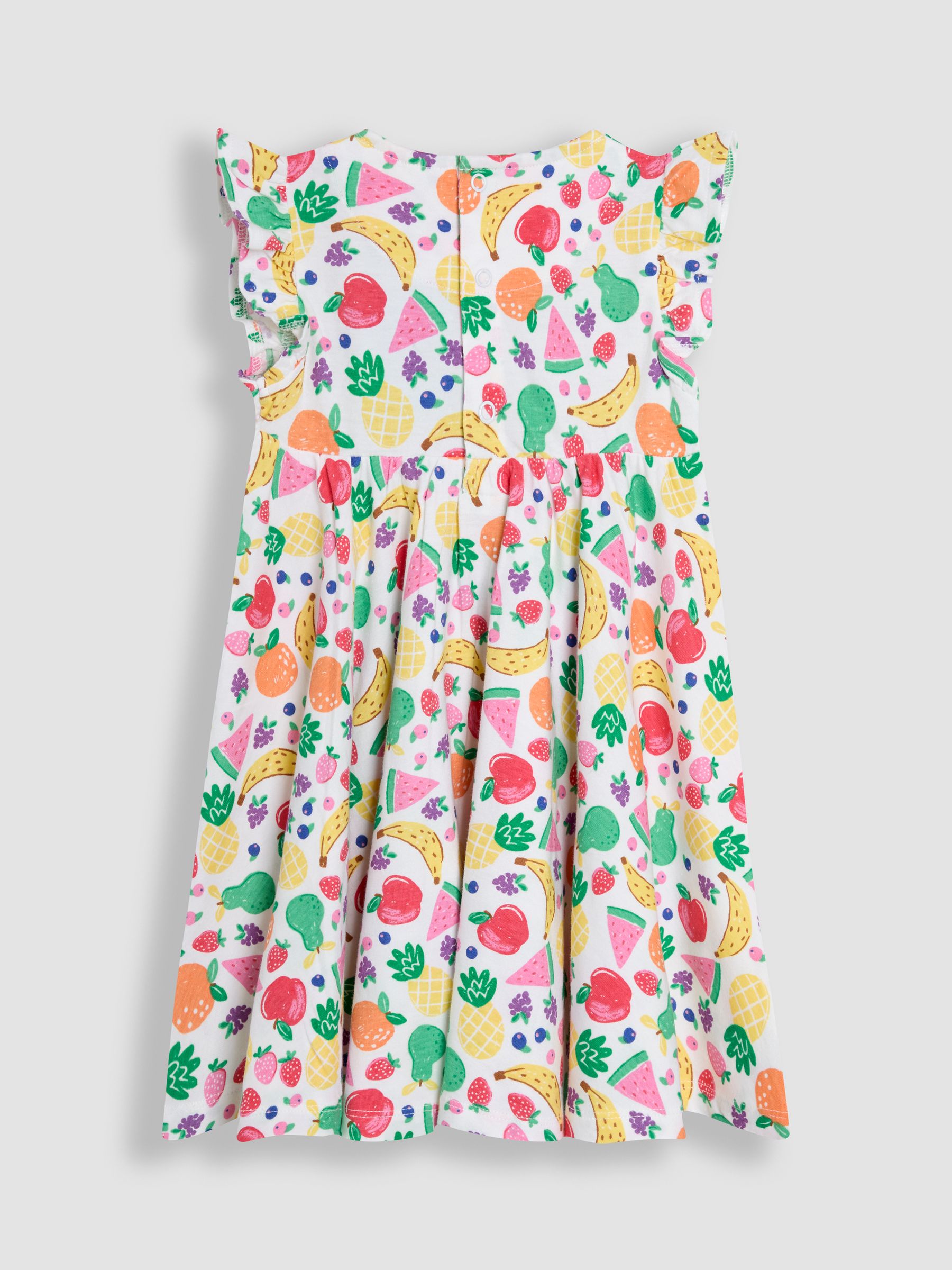 Raspberry Pink Summer Fruits Skater Dress