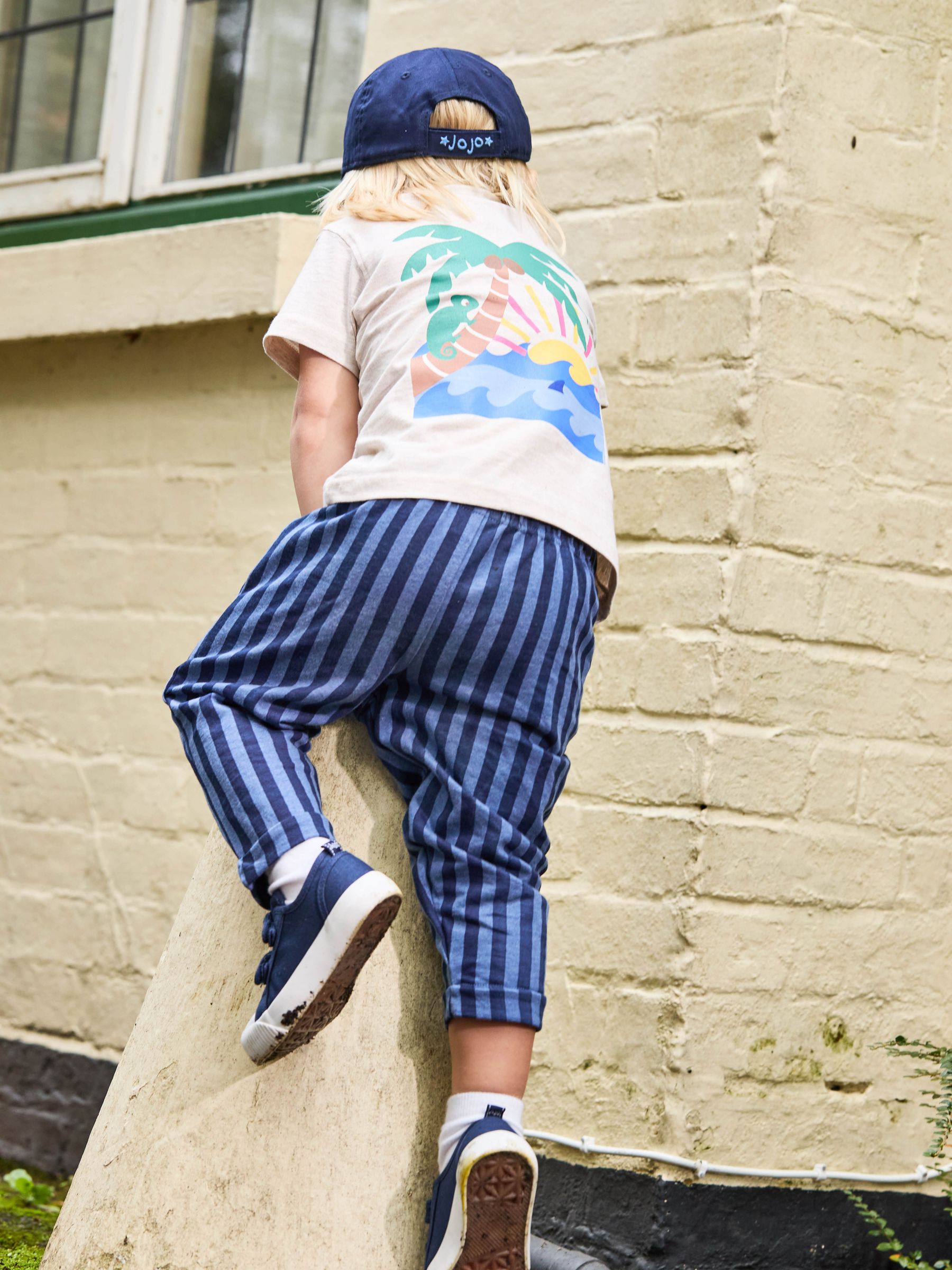 Navy Blue Stripe Stripe Trousers